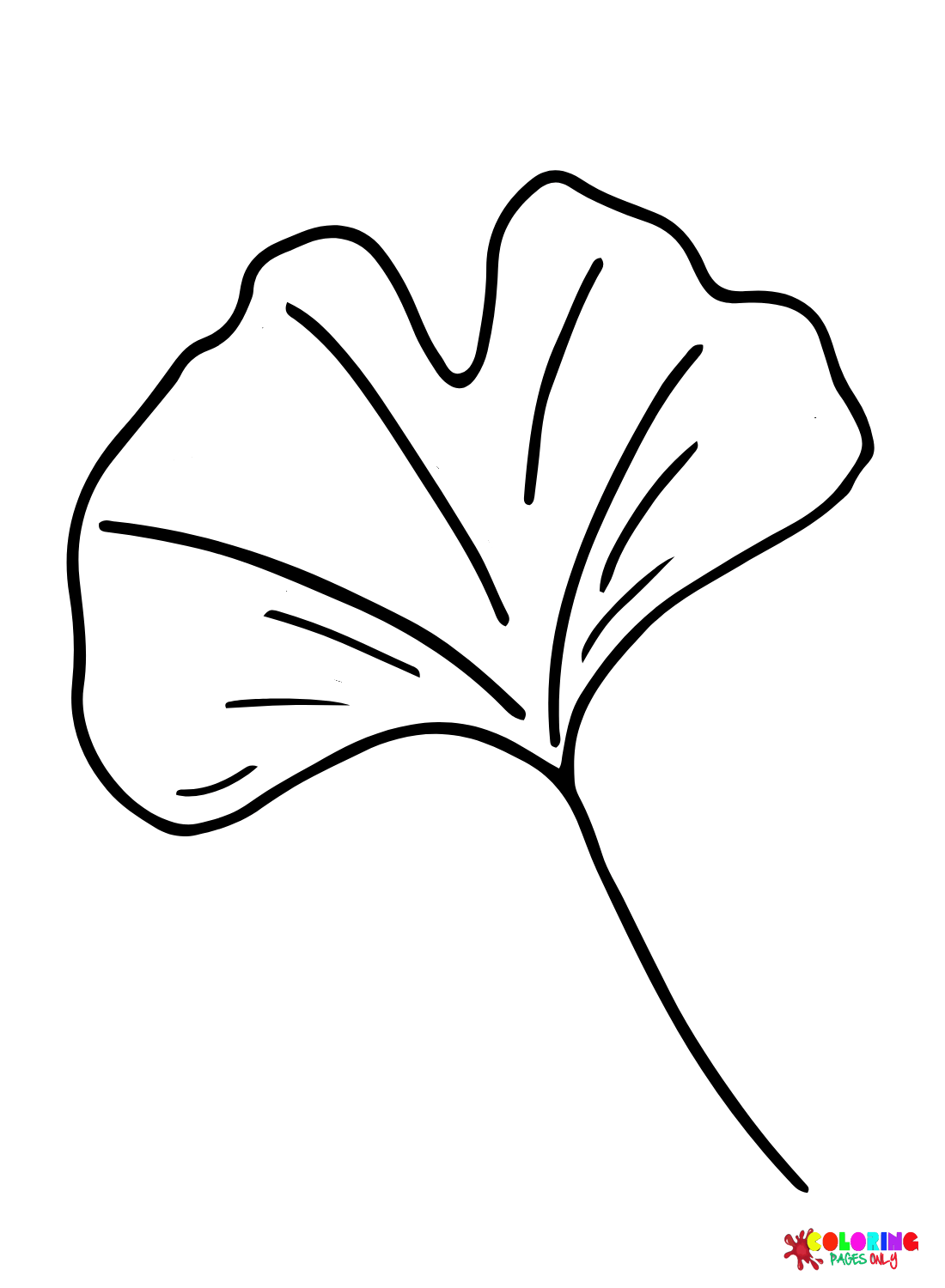 Leaf to Print from Leaves