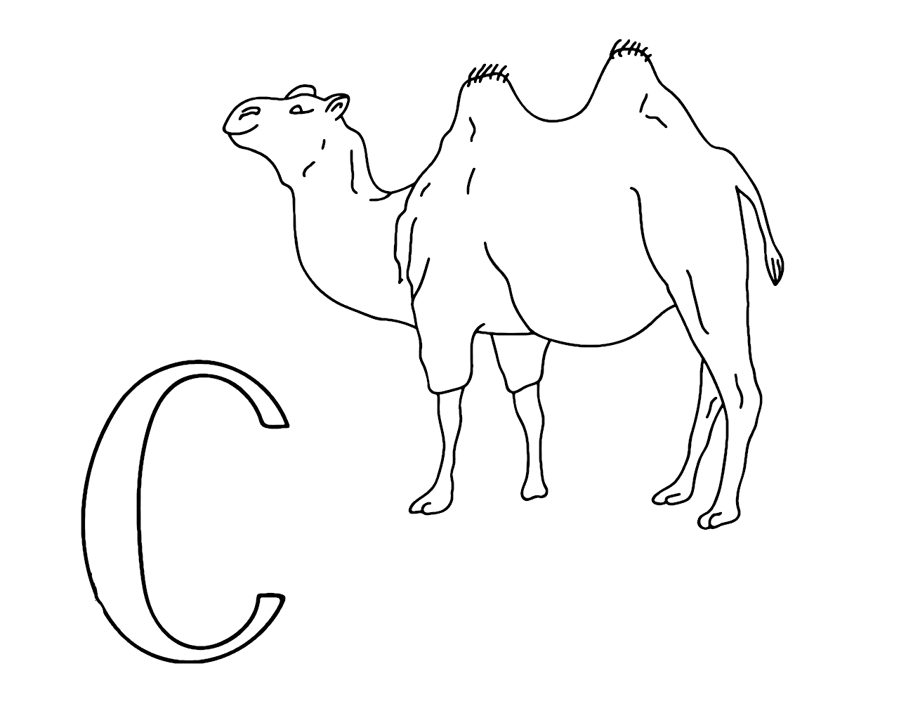 Letra C para camello de Camel