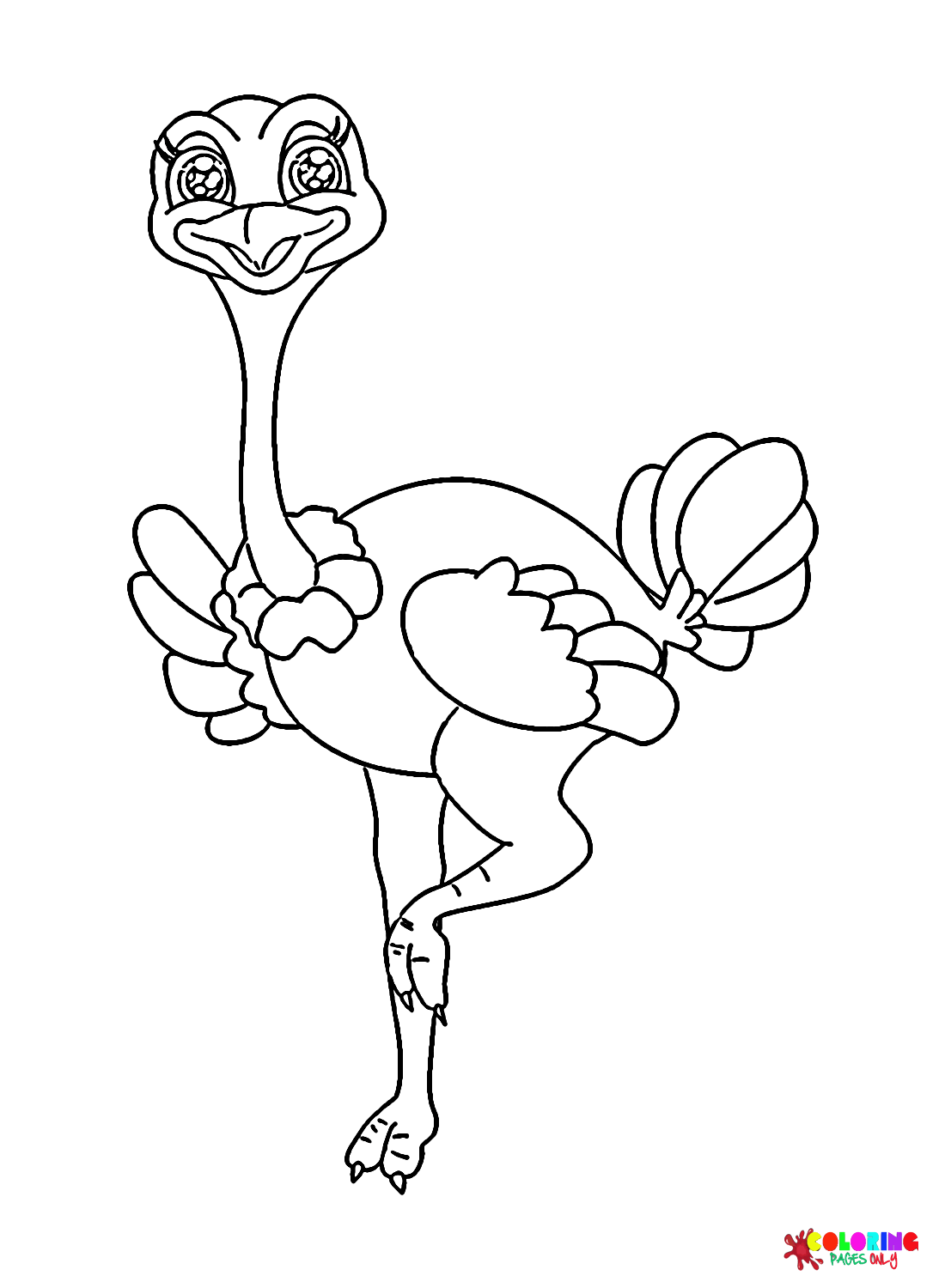 Precioso avestruz de avestruz