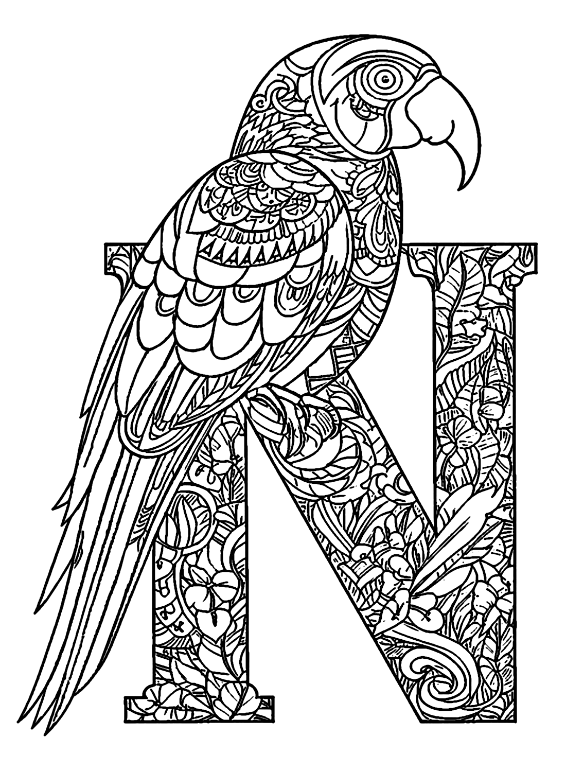Ara avec la lettre N de Macaw