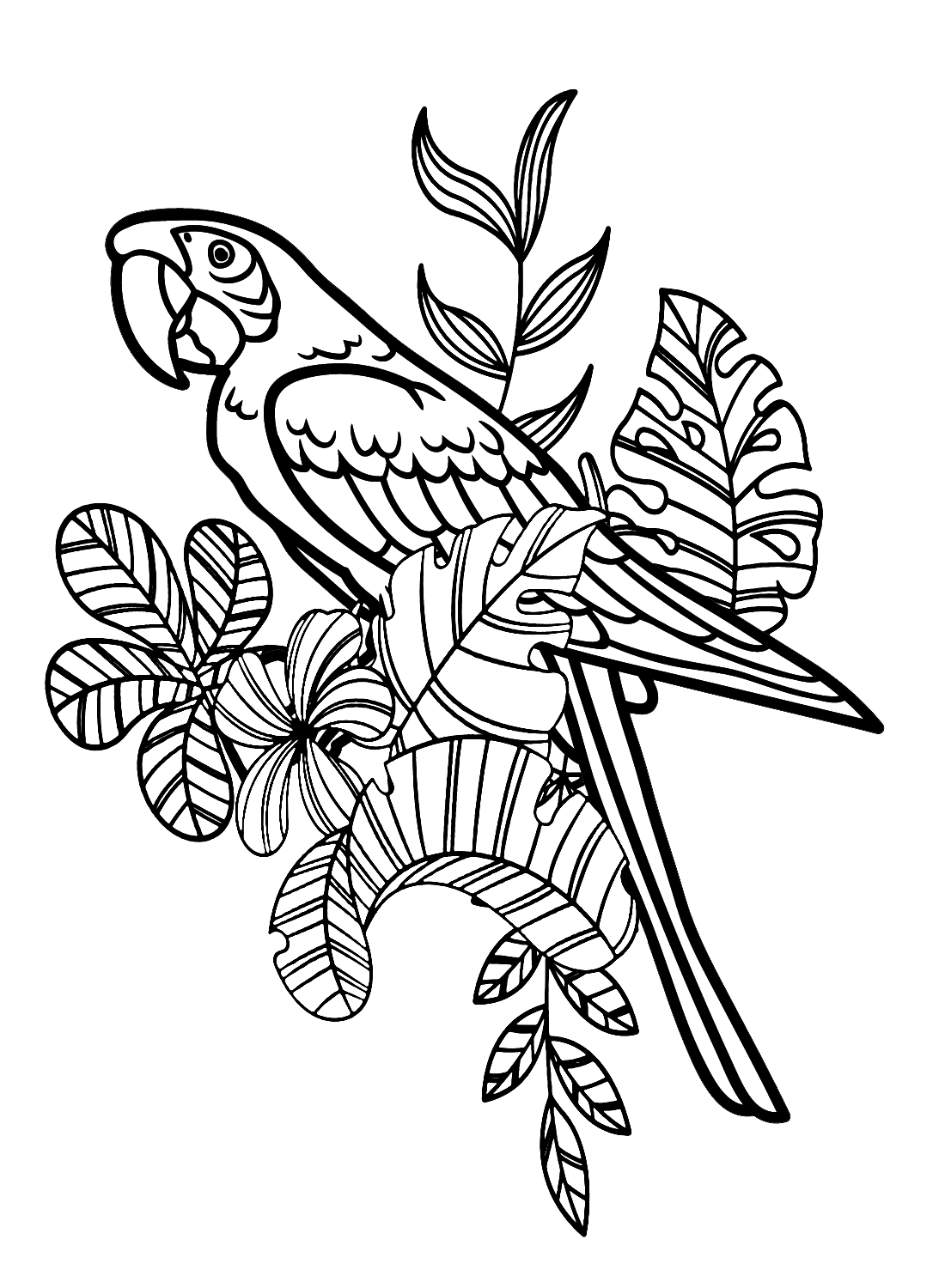 Macaw with Tropical Leaves from Macaw