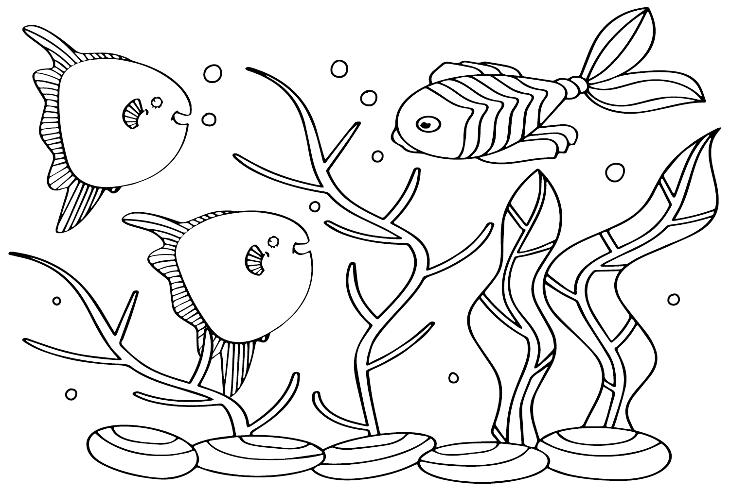 Mola Mola Coloring Page - Free Printable Coloring Pages