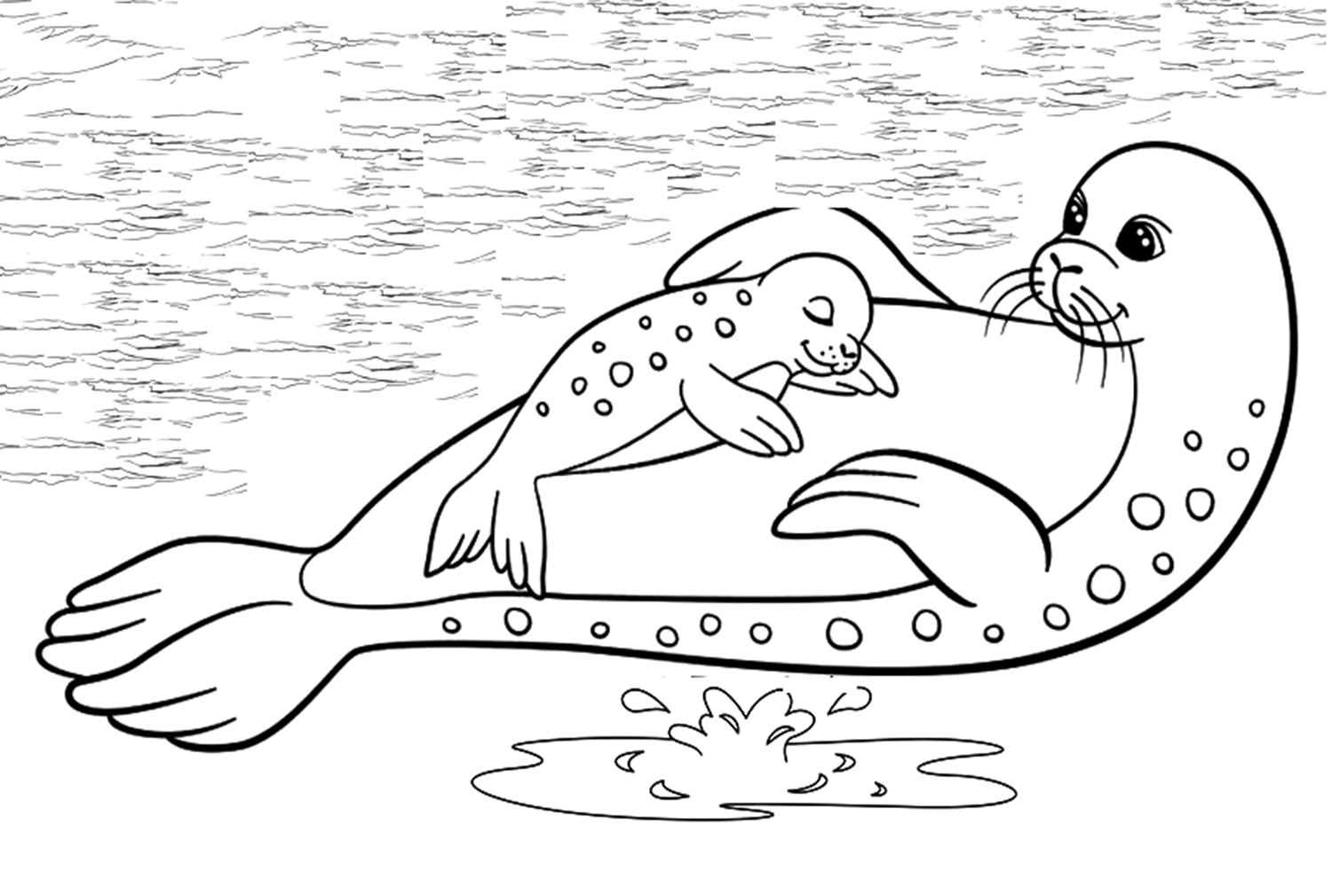 Moeder en babyzeehond van Seal