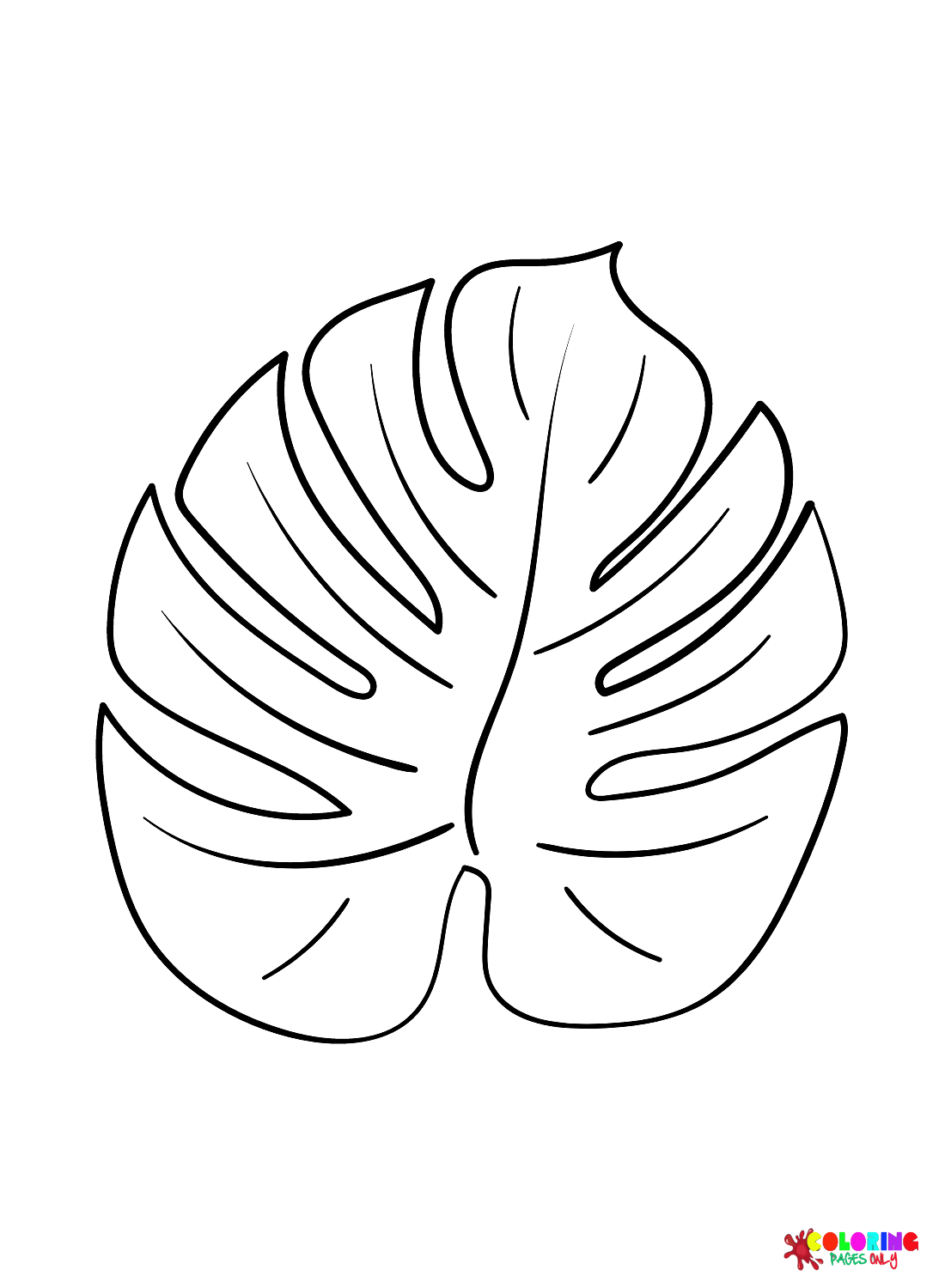 Monstera Leaf from Leaves