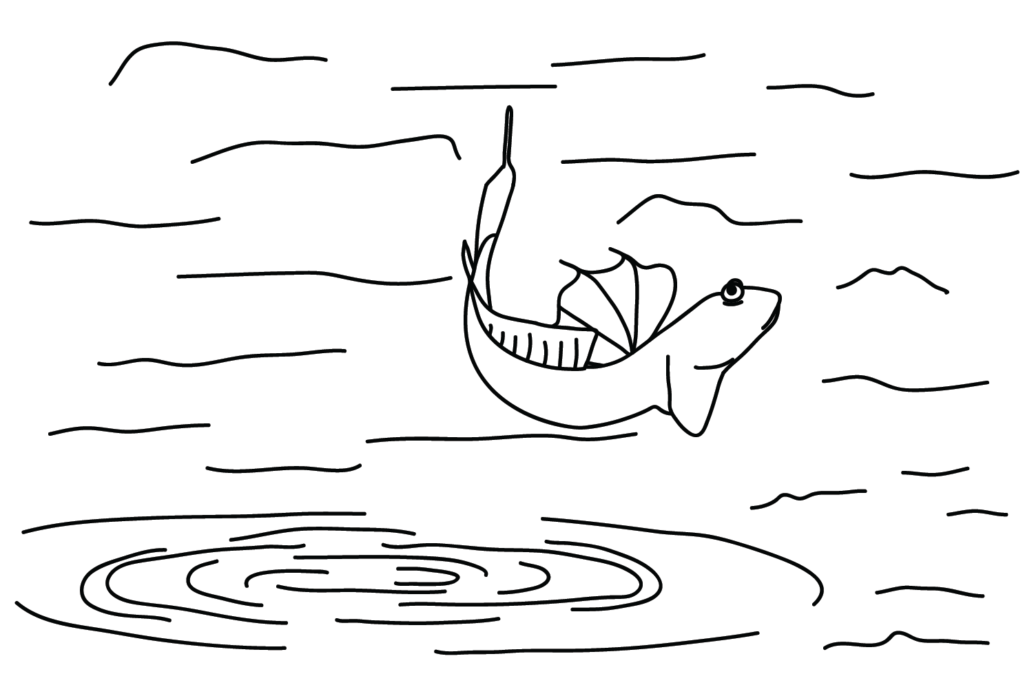 Илистый прыгун на воде из Mudskipper