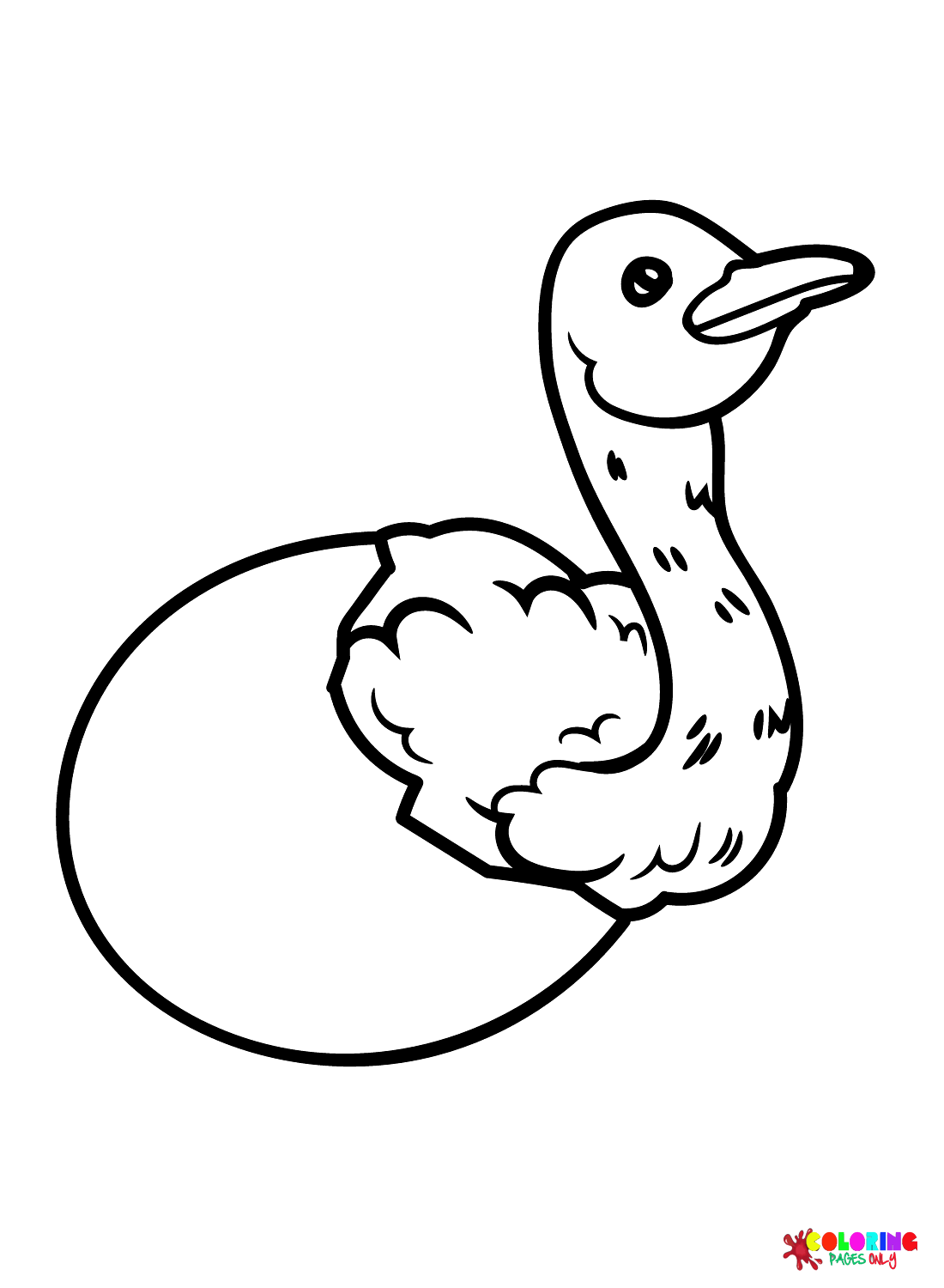 Avestruz recién nacido de avestruz