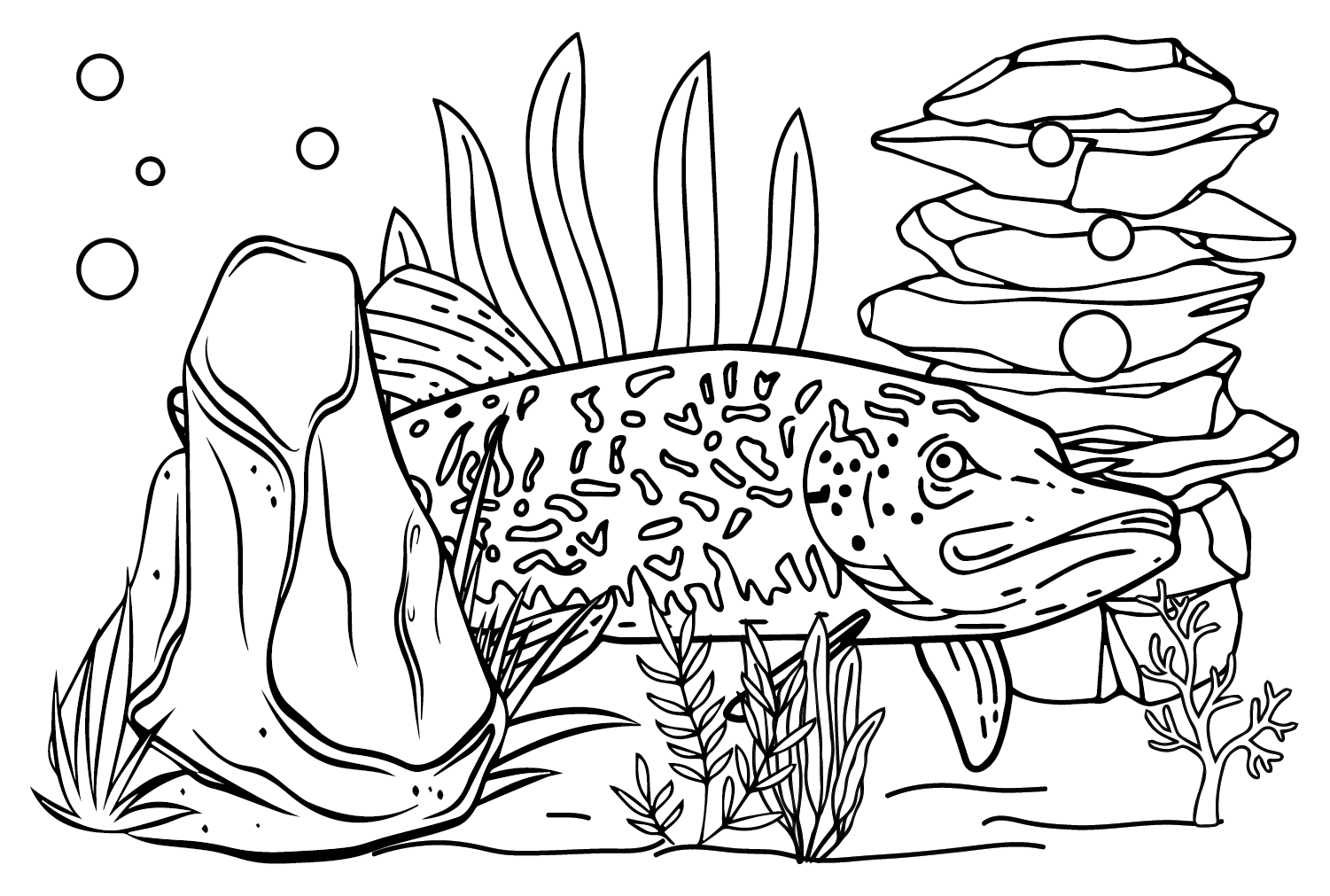 Northern Pike Print Coloring Page - Free Printable Coloring Pages