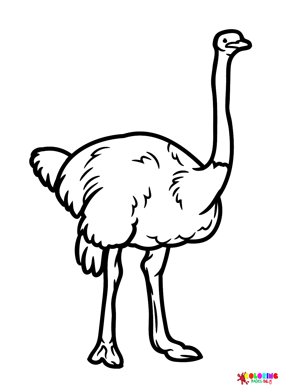 Изображения страусовых птиц от страуса