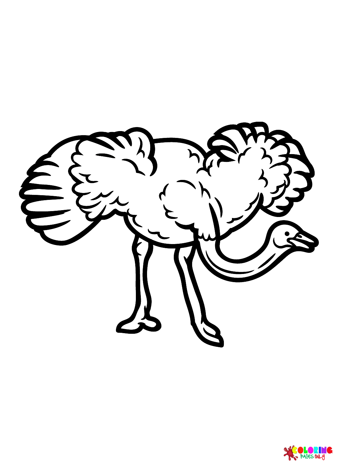 Ostrich Bird Printable from Ostrich