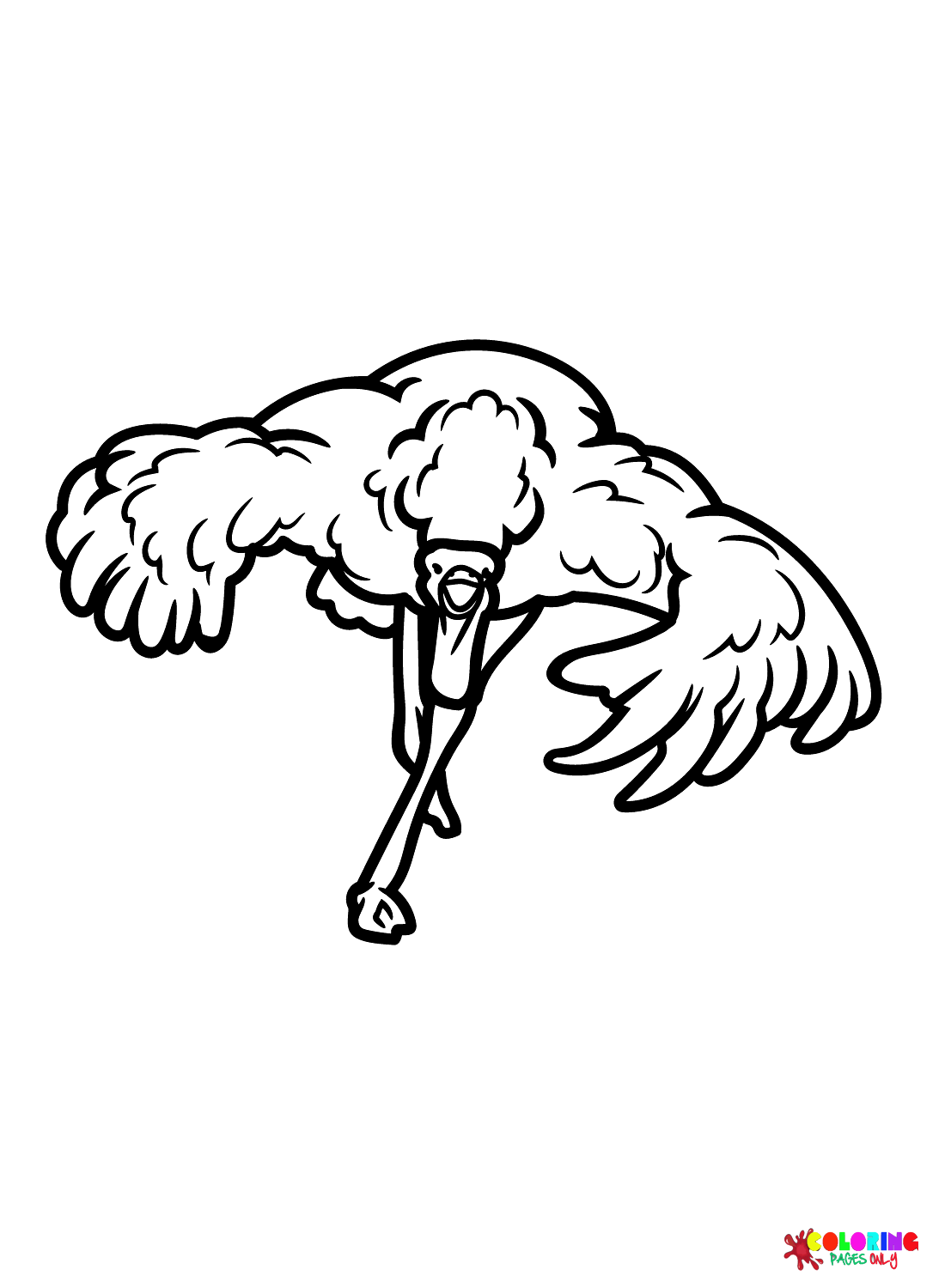 Pájaro avestruz de avestruz