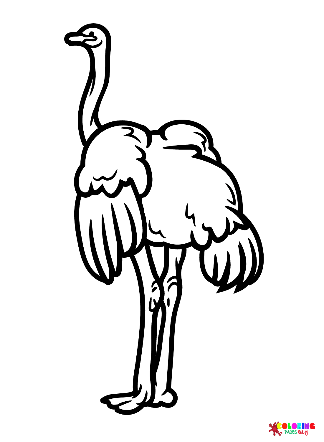 Struisvogel Vrij van Struisvogel
