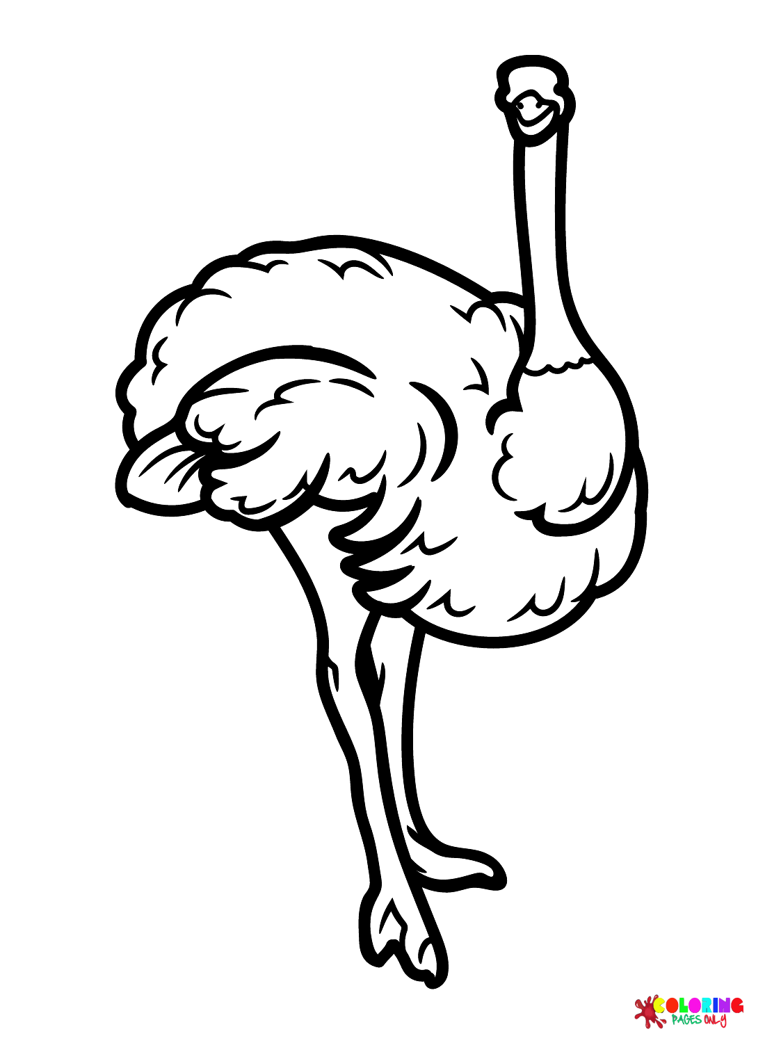 Imágenes de avestruz de avestruz