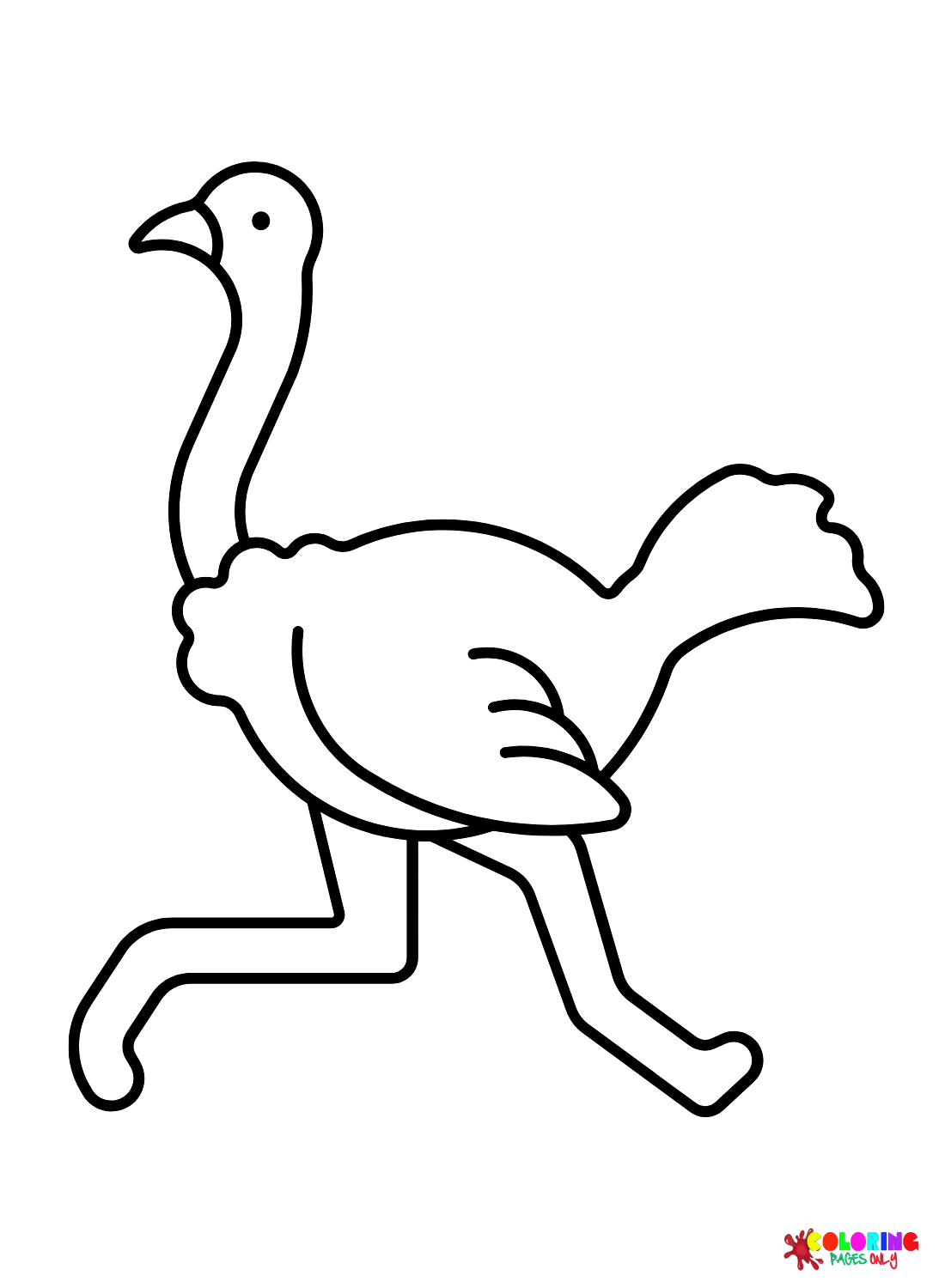 Esboço de avestruz de avestruz
