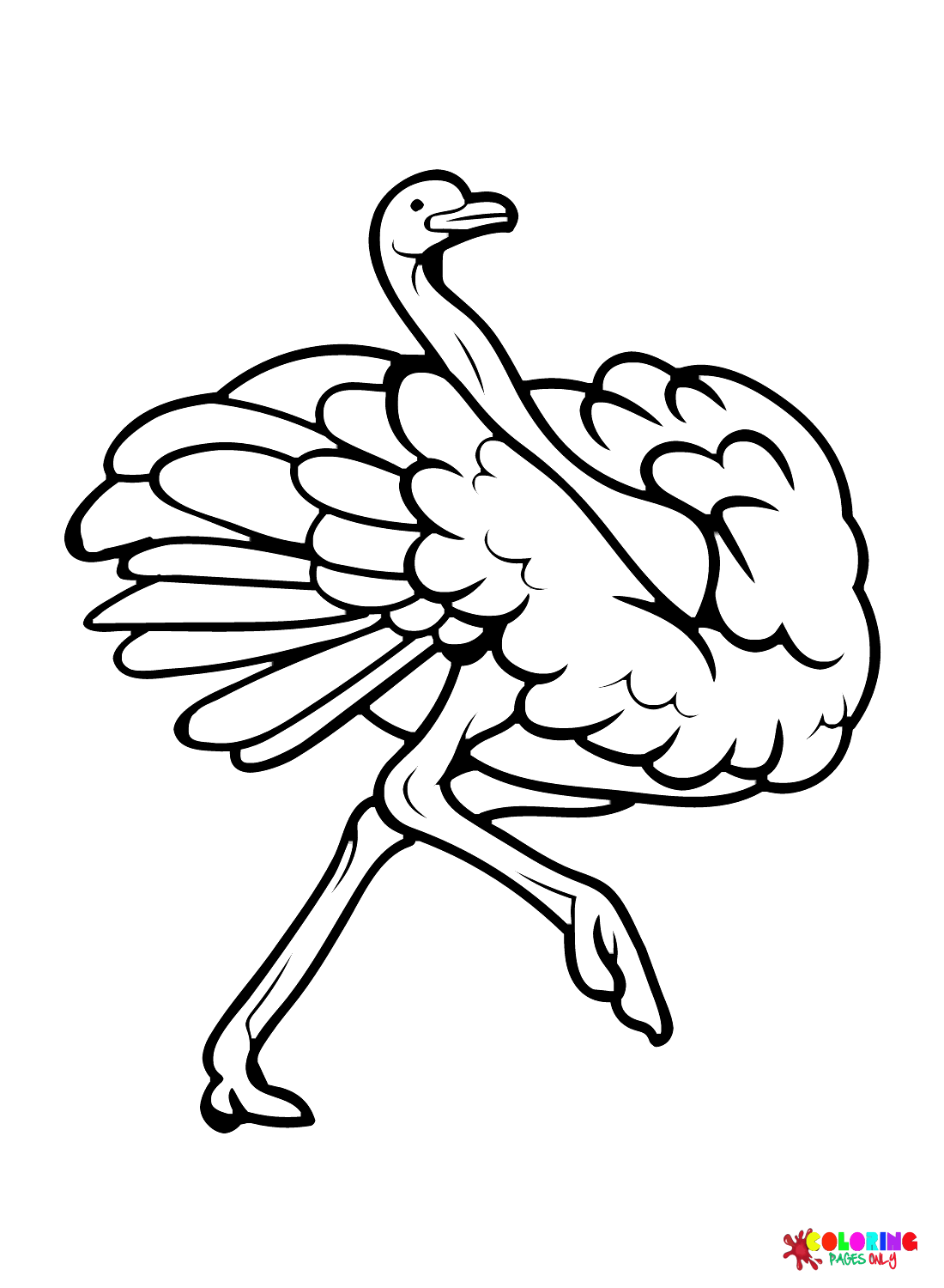 Ostrich Simple Coloring Page Free Printable Coloring Pages