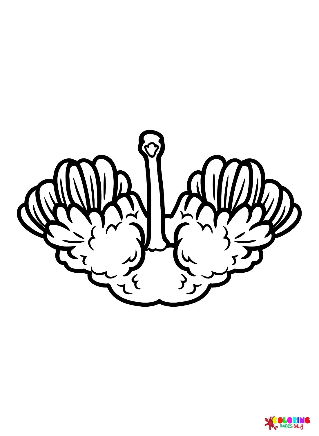 Strauß ausgebreitete Flügel von Ostrich