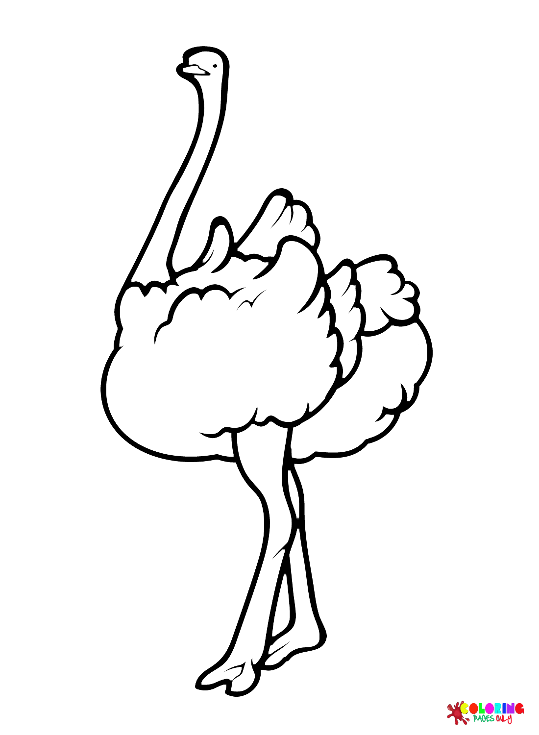 Straußenfarbblätter von Ostrich