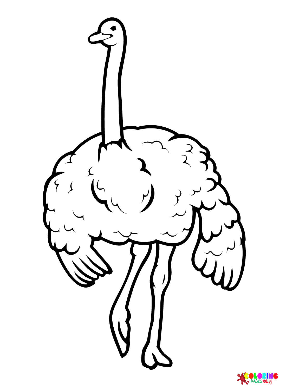 Struisvogel voor kinderen van Struisvogel