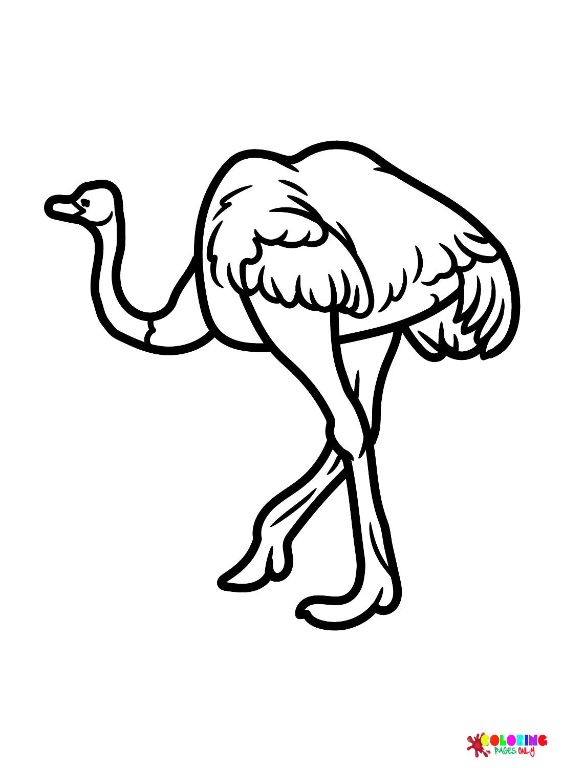 Avestruz para imprimir de avestruz
