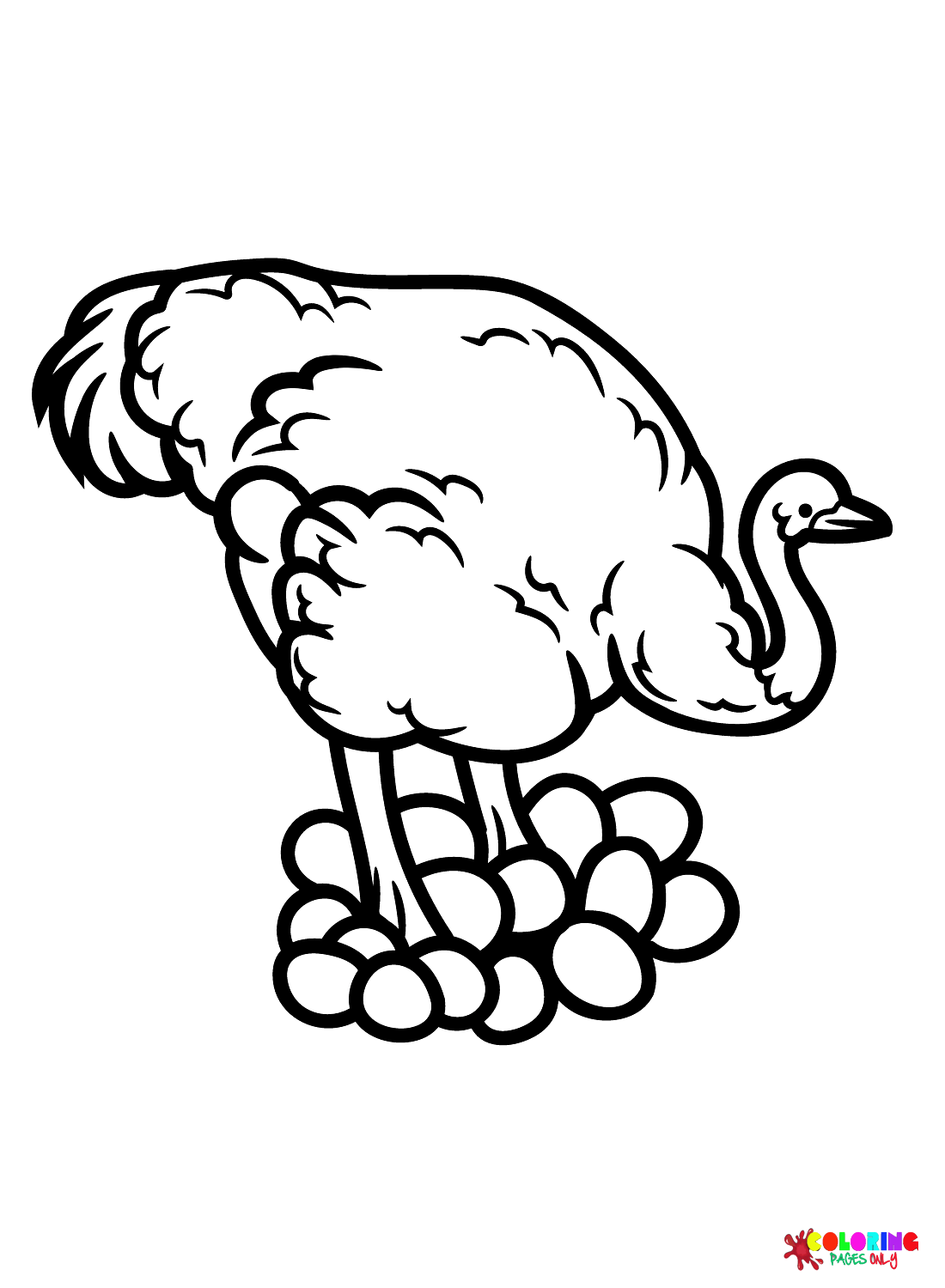 Struisvogel met eieren van Struisvogel