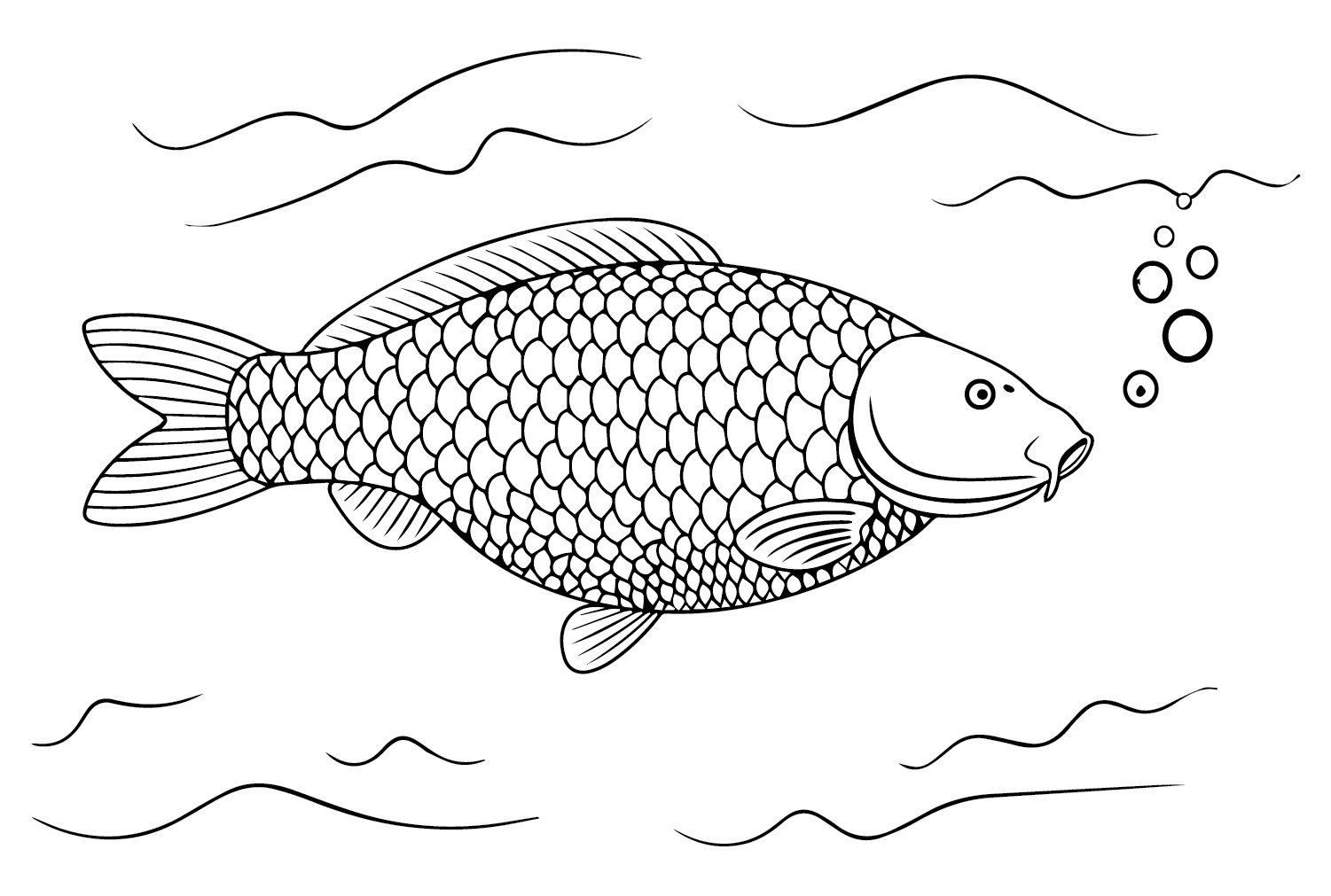 25 Free Printable Carp Coloring Pages