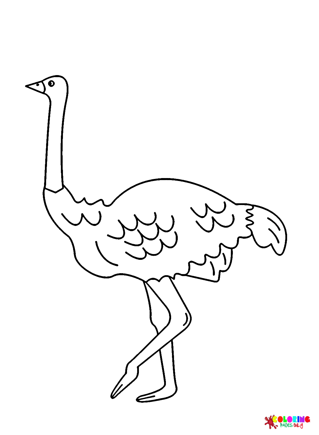 Foto's Emu van Emu