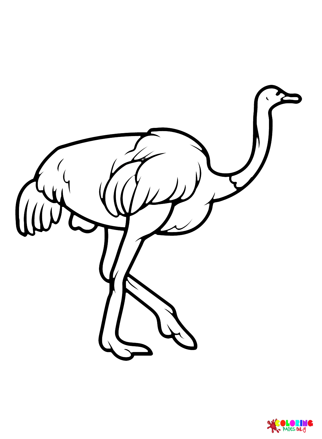 Картинки Страус из Ostrich
