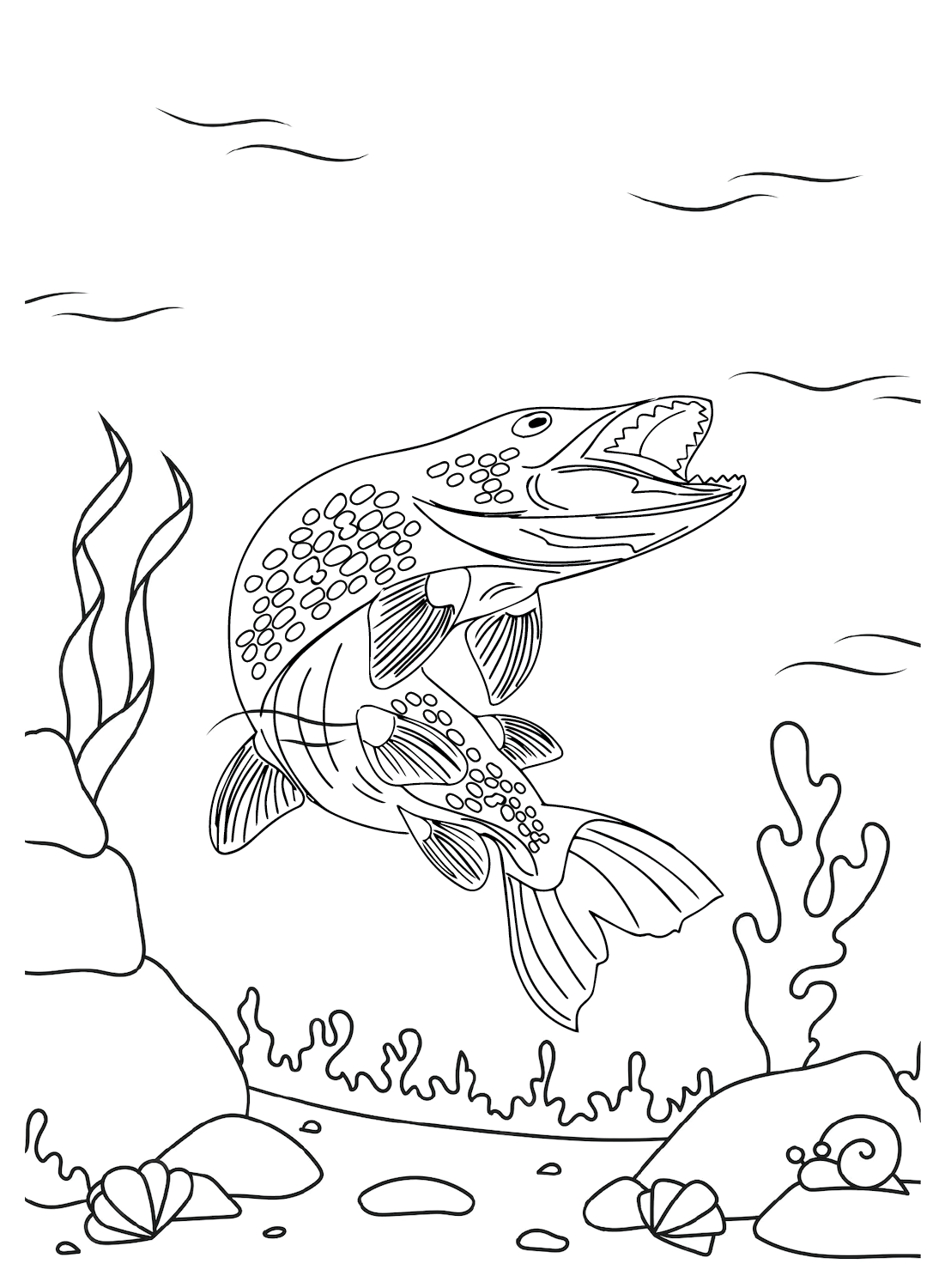 Pictures Pike Coloring Page - Free Printable Coloring Pages
