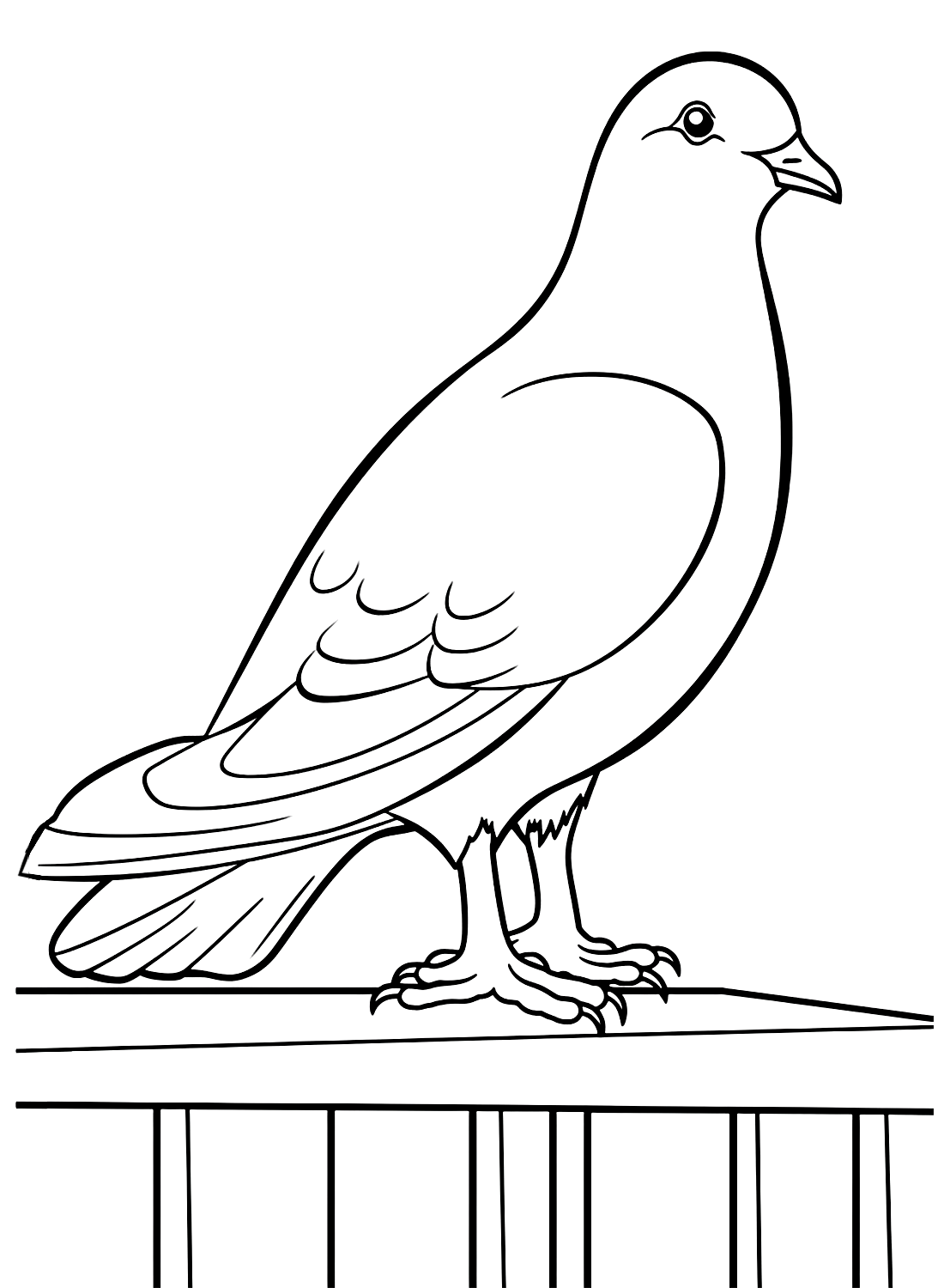 Taube steht auf einer hölzernen Voliere von Pigeon