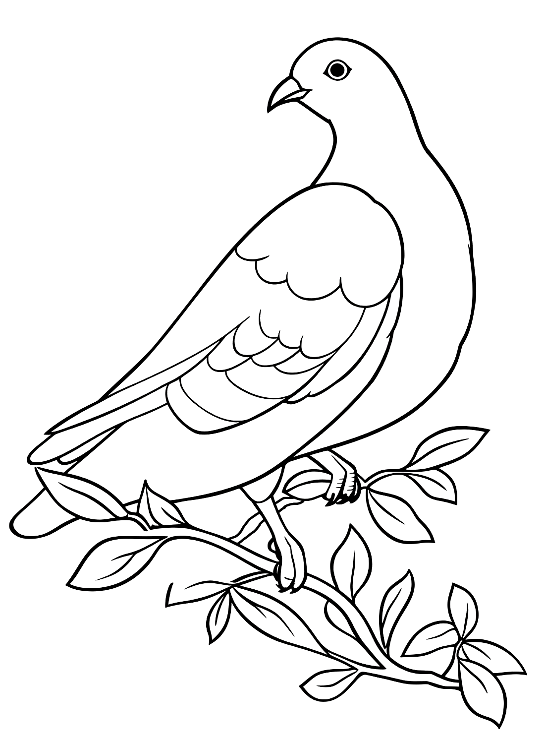 Pigeon sur branche de Pigeon