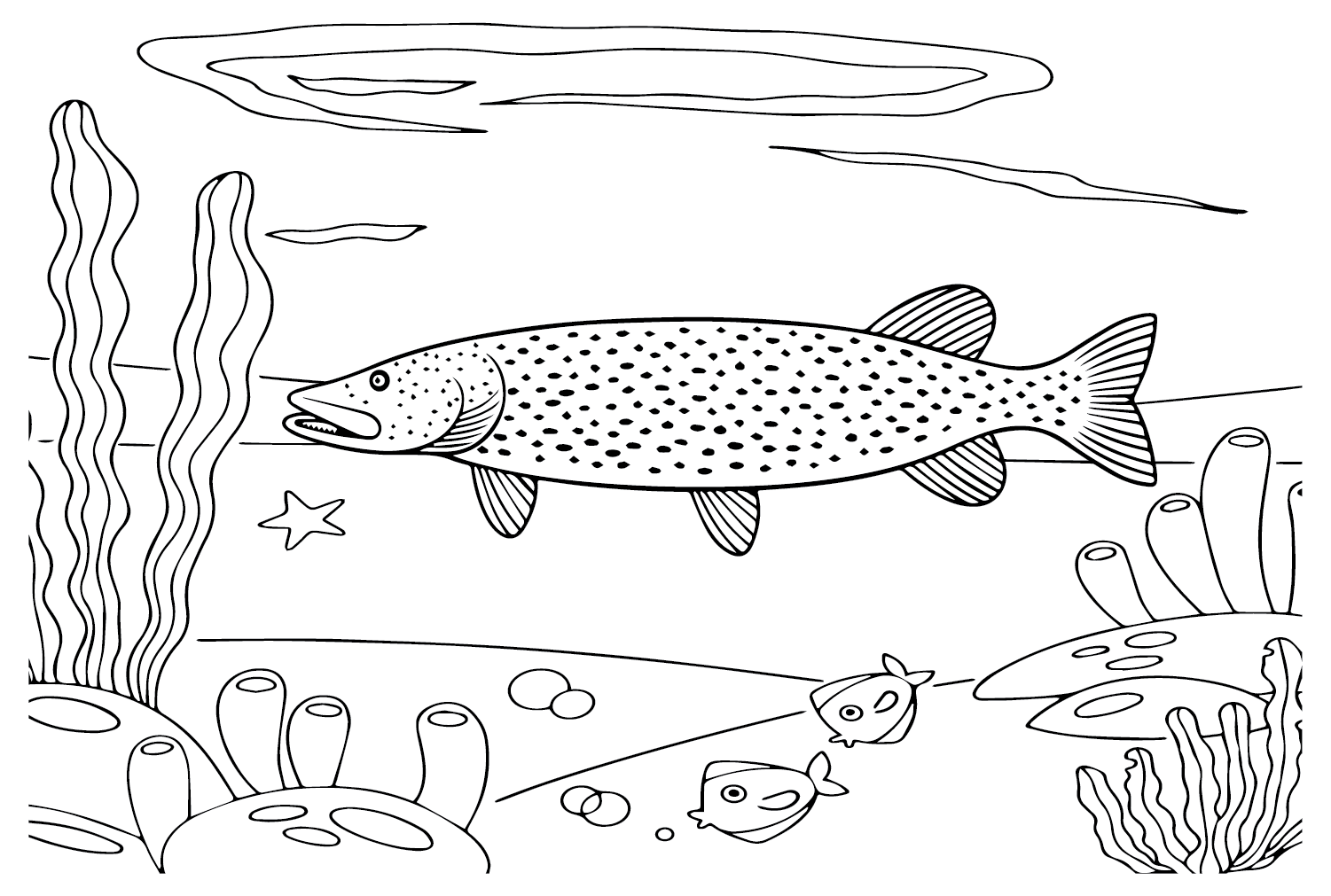 Pike under The River Coloring Page - Free Printable Coloring Pages