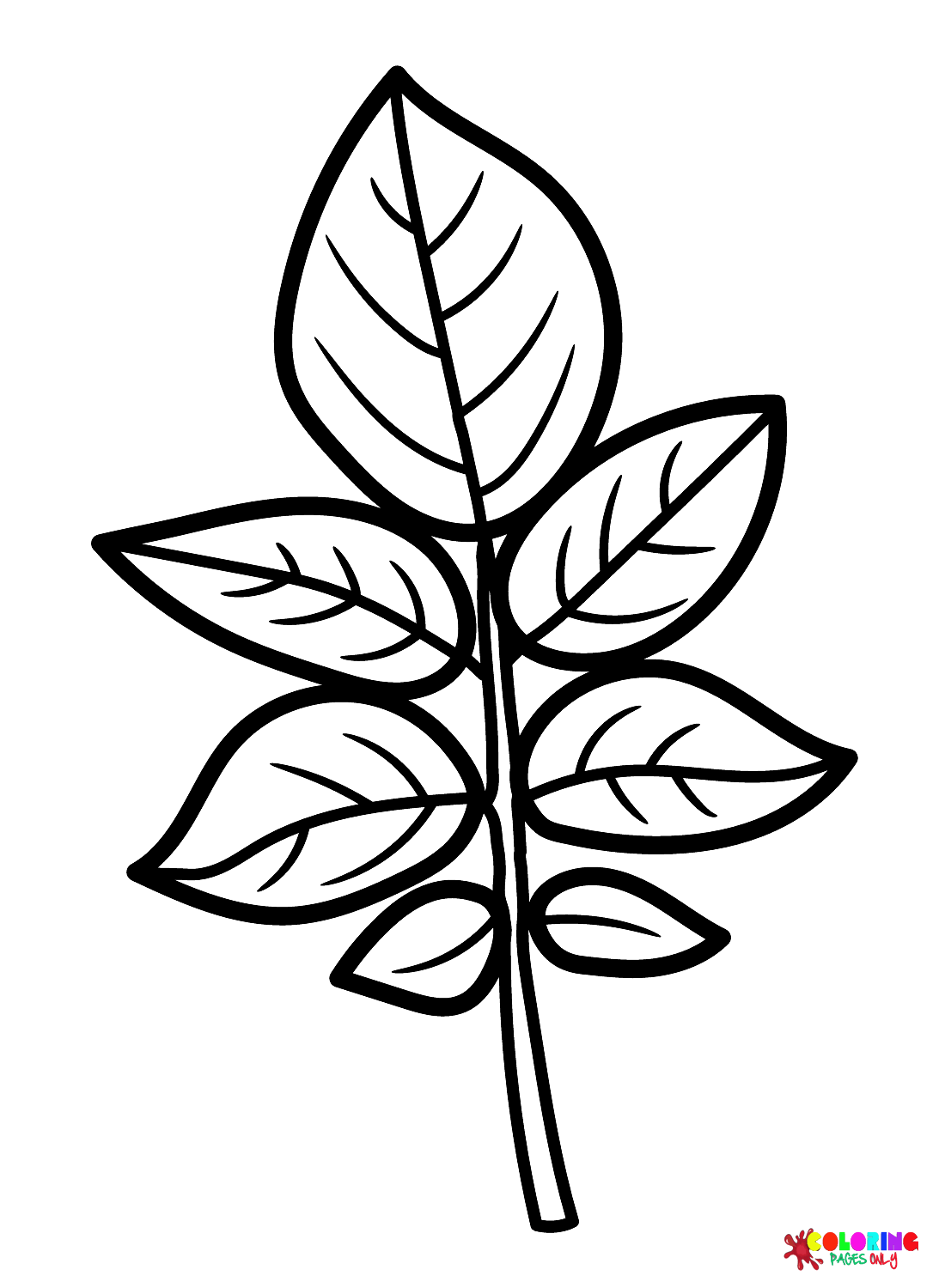 Página para colorir folha de batata