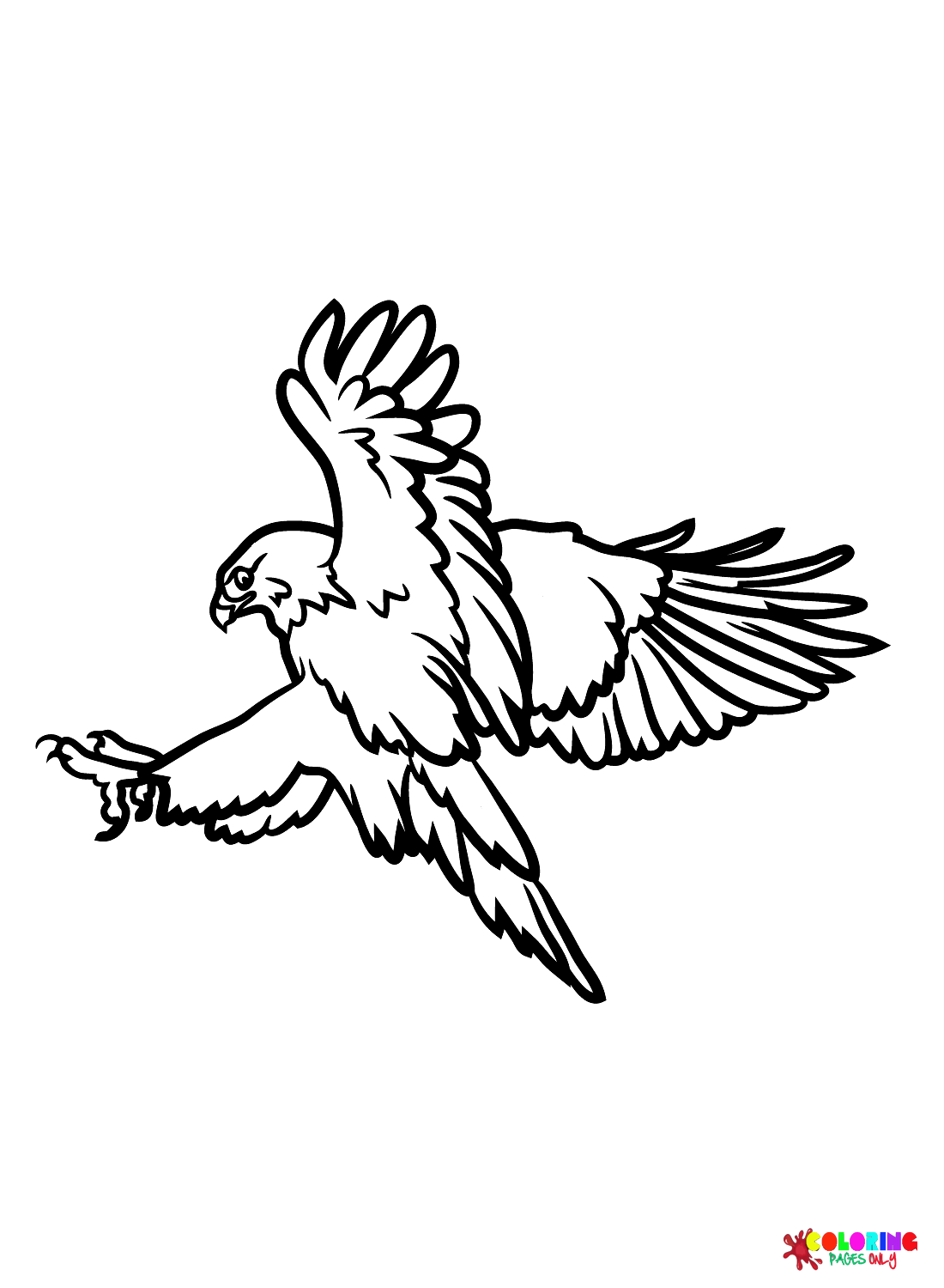 Imprimir halcón de halcones