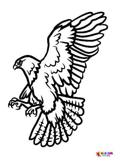 Druckbar-Hawk