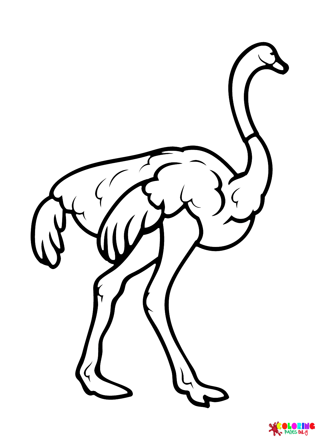 Распечатанный страус из страуса