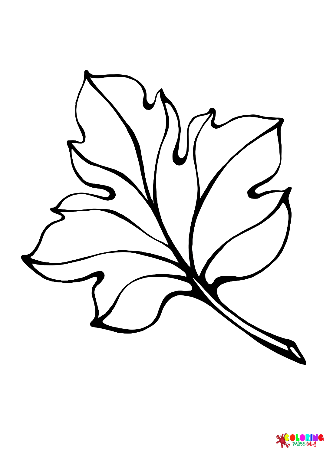 Раскраска Лист тыквы