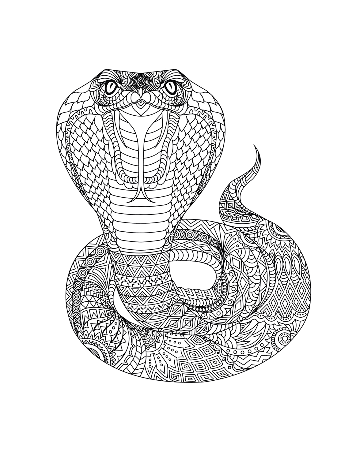 Easy Realistic Cobra Coloring Pages