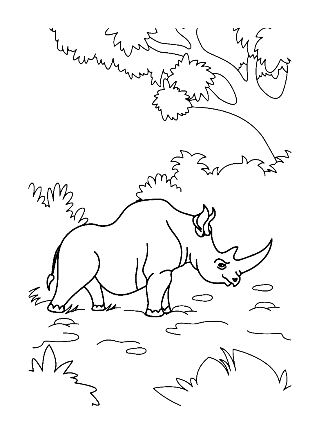 Rinoceronte en la naturaleza salvaje de Rhino