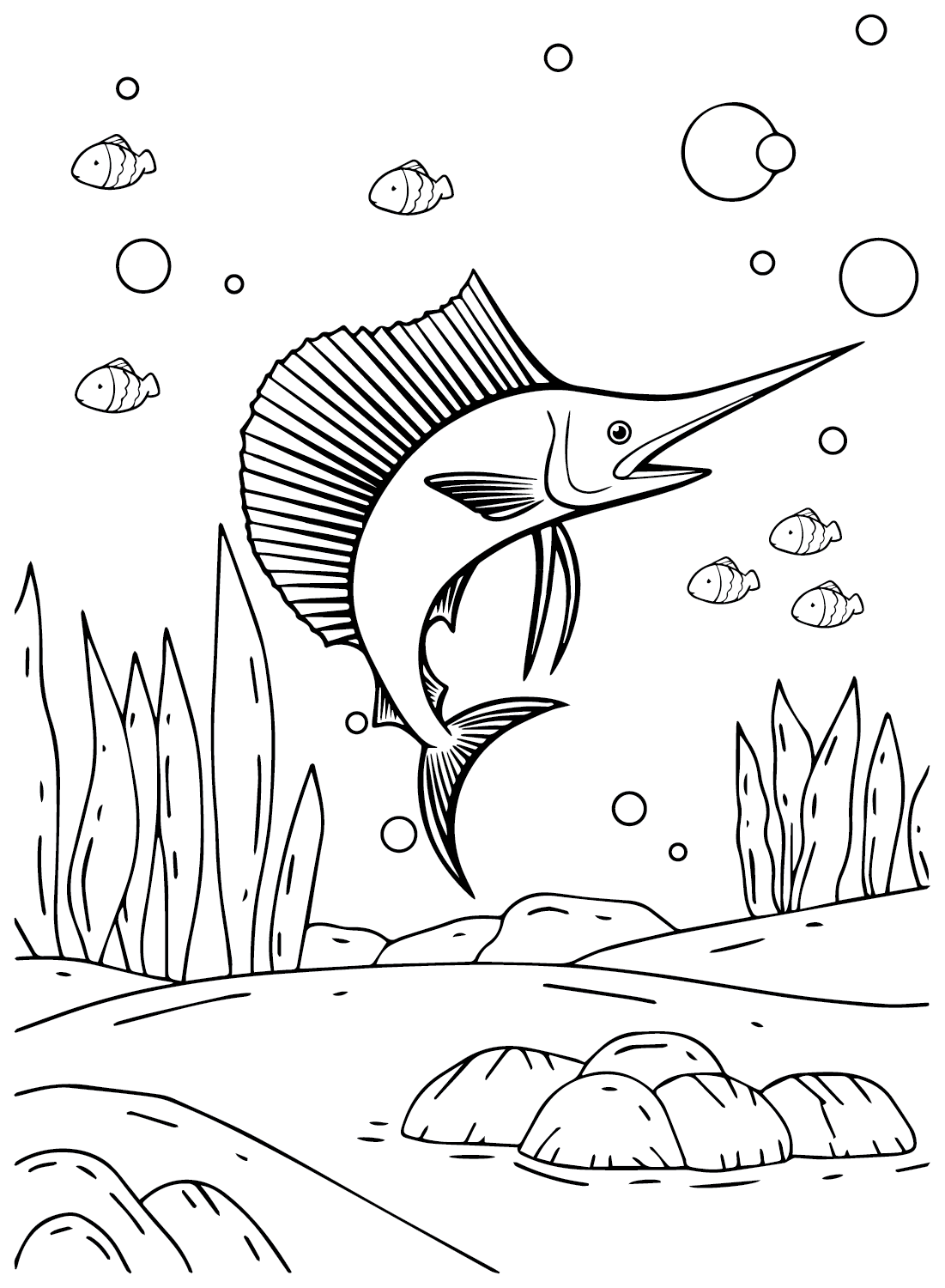 Dibujo de pez vela a partir de pez vela