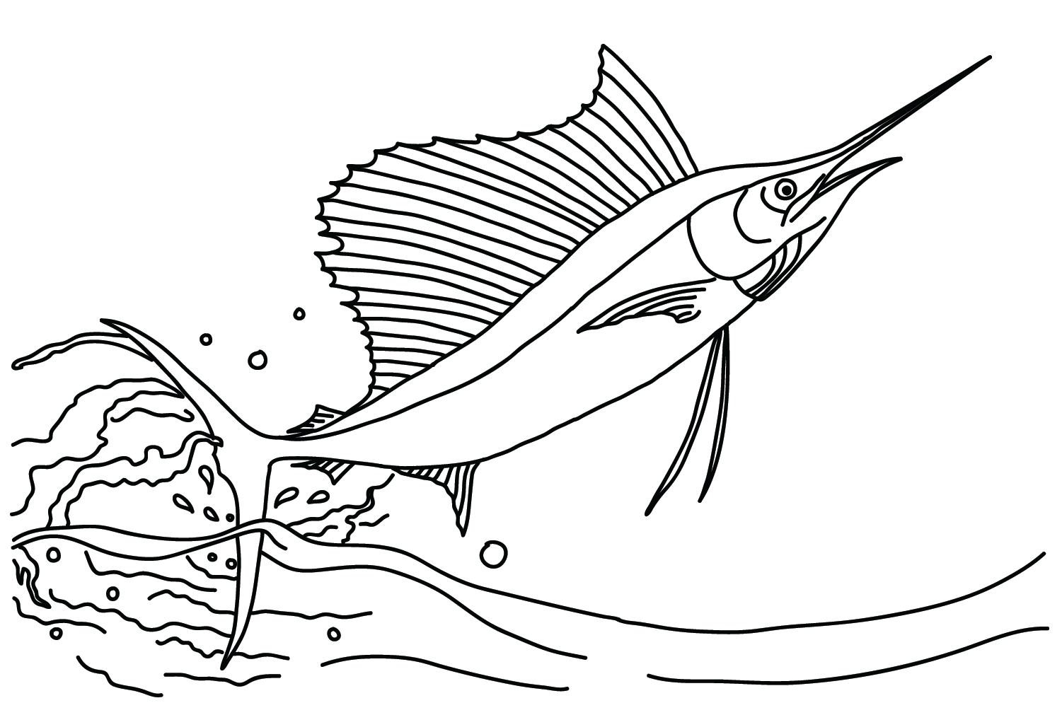 Sailfish 儿童旗鱼