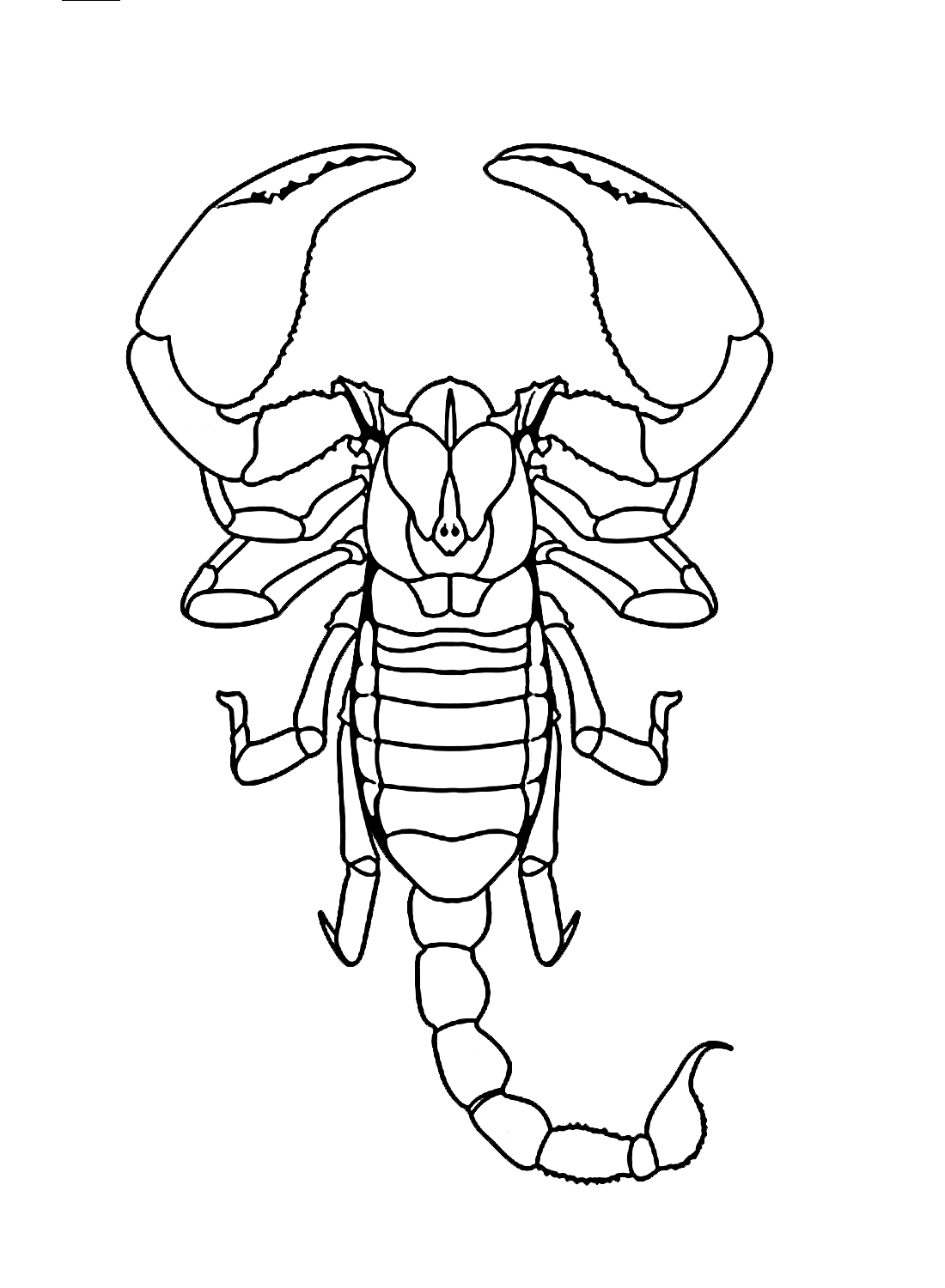 Scorpion Coloring Page - Free Printable Coloring Pages