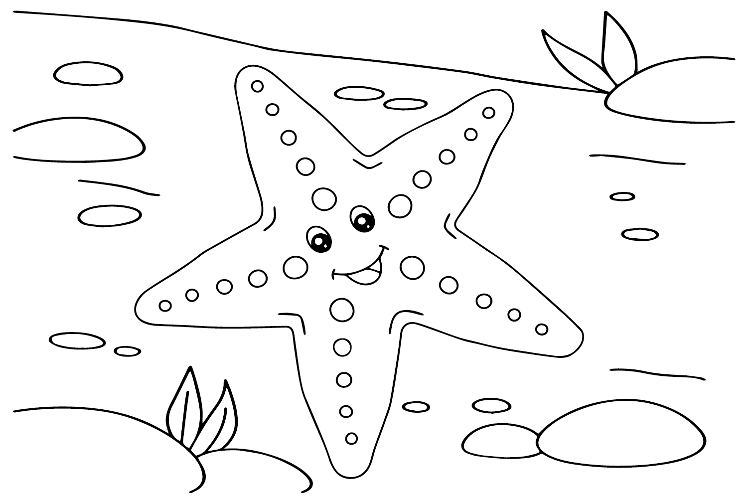 Estrella de mar de estrella de mar