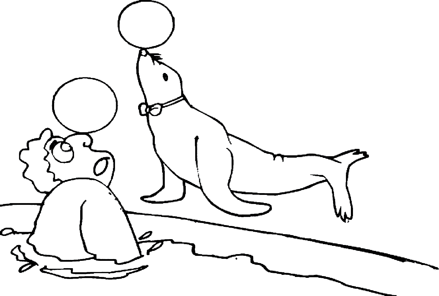 Zeehond en clown van Seal