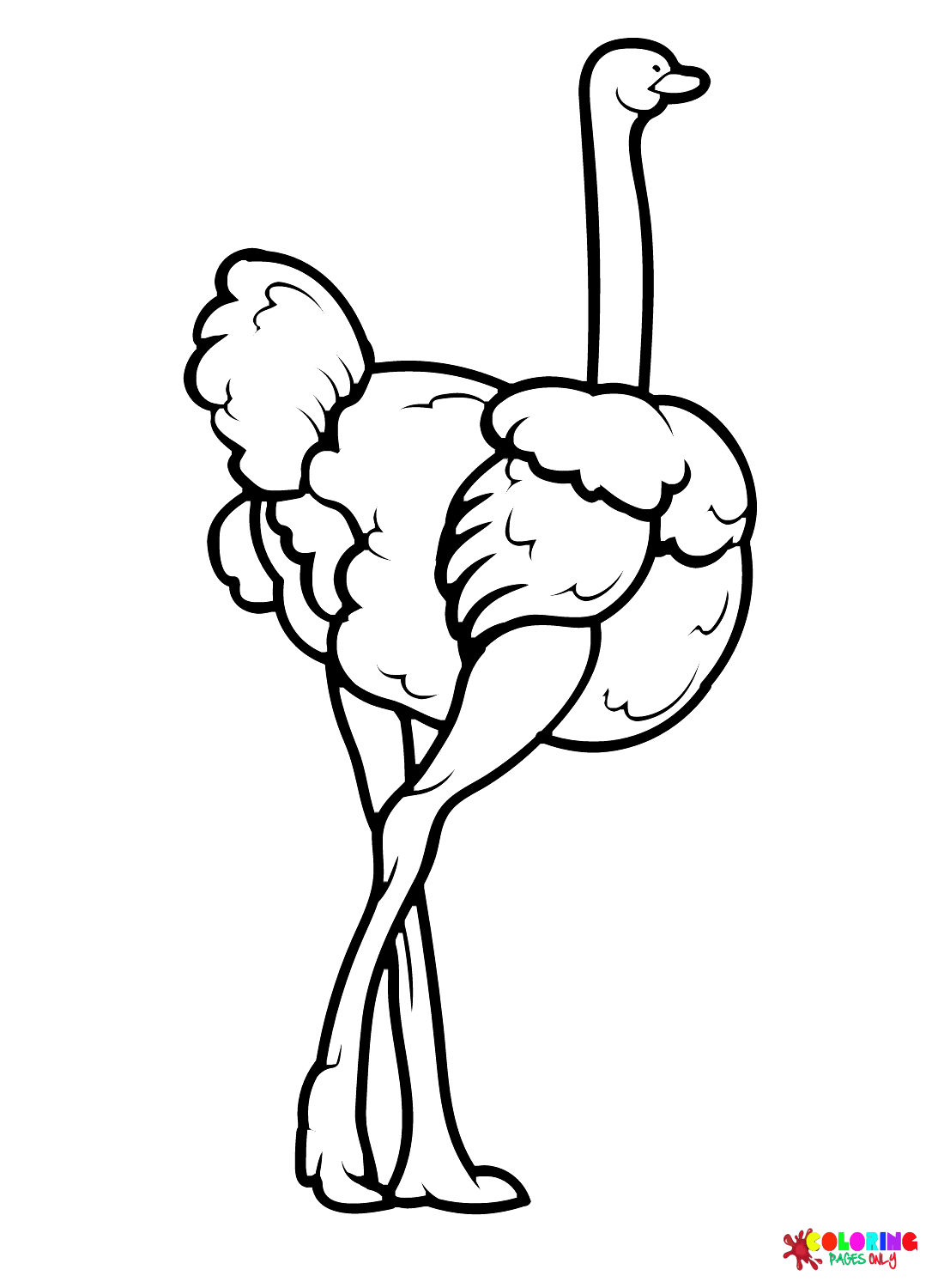 Sexy Struisvogel van Struisvogel