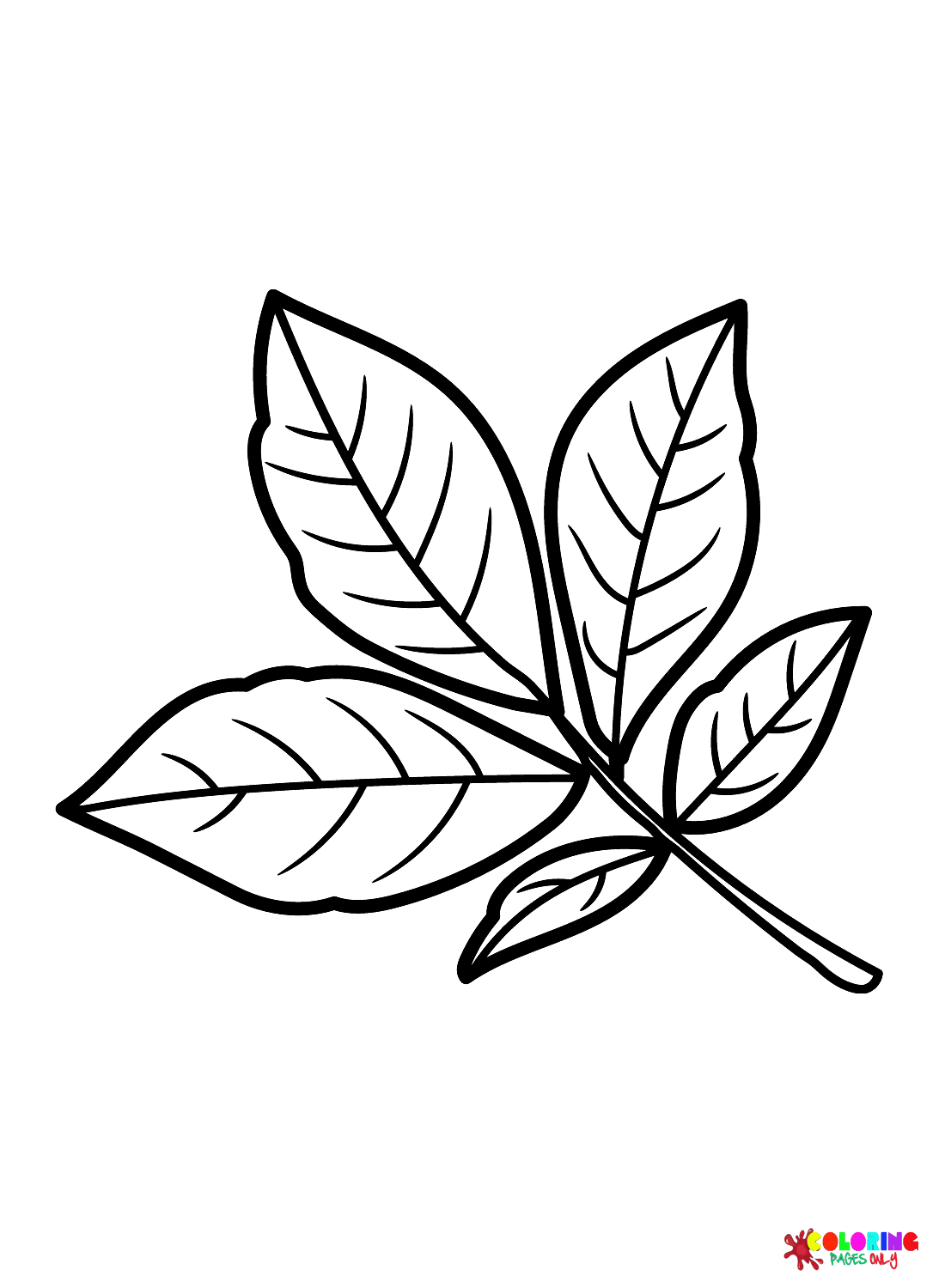Página para colorir folha de nogueira Shagbark