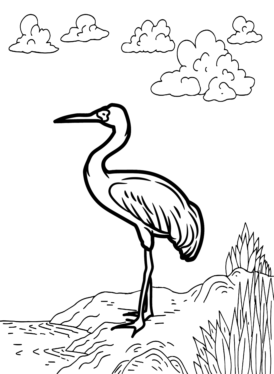 Sibirischer Kranich von Crane Bird