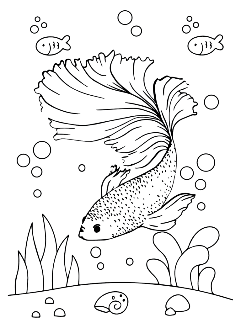27 Free Printable Betta Fish Coloring Pages