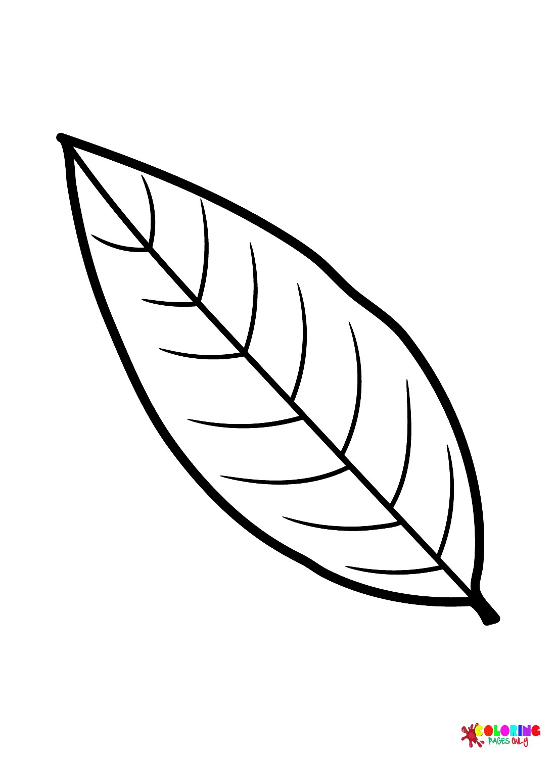 Eenvoudig blad van bladeren