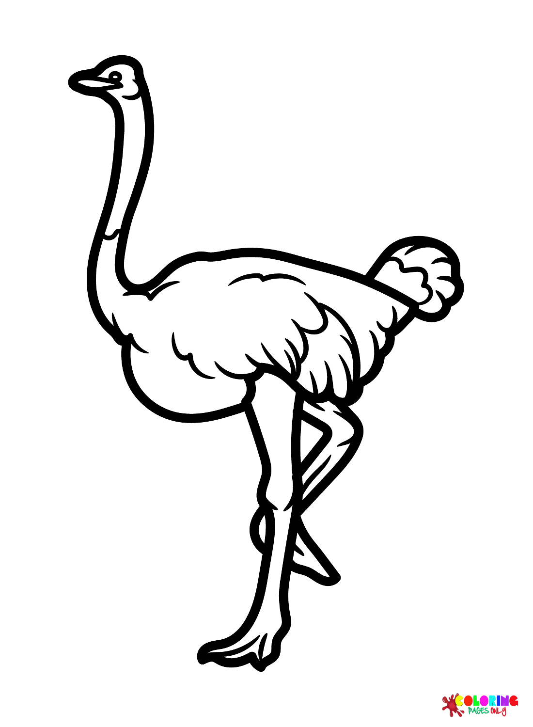 Somalische Struisvogel van Struisvogel
