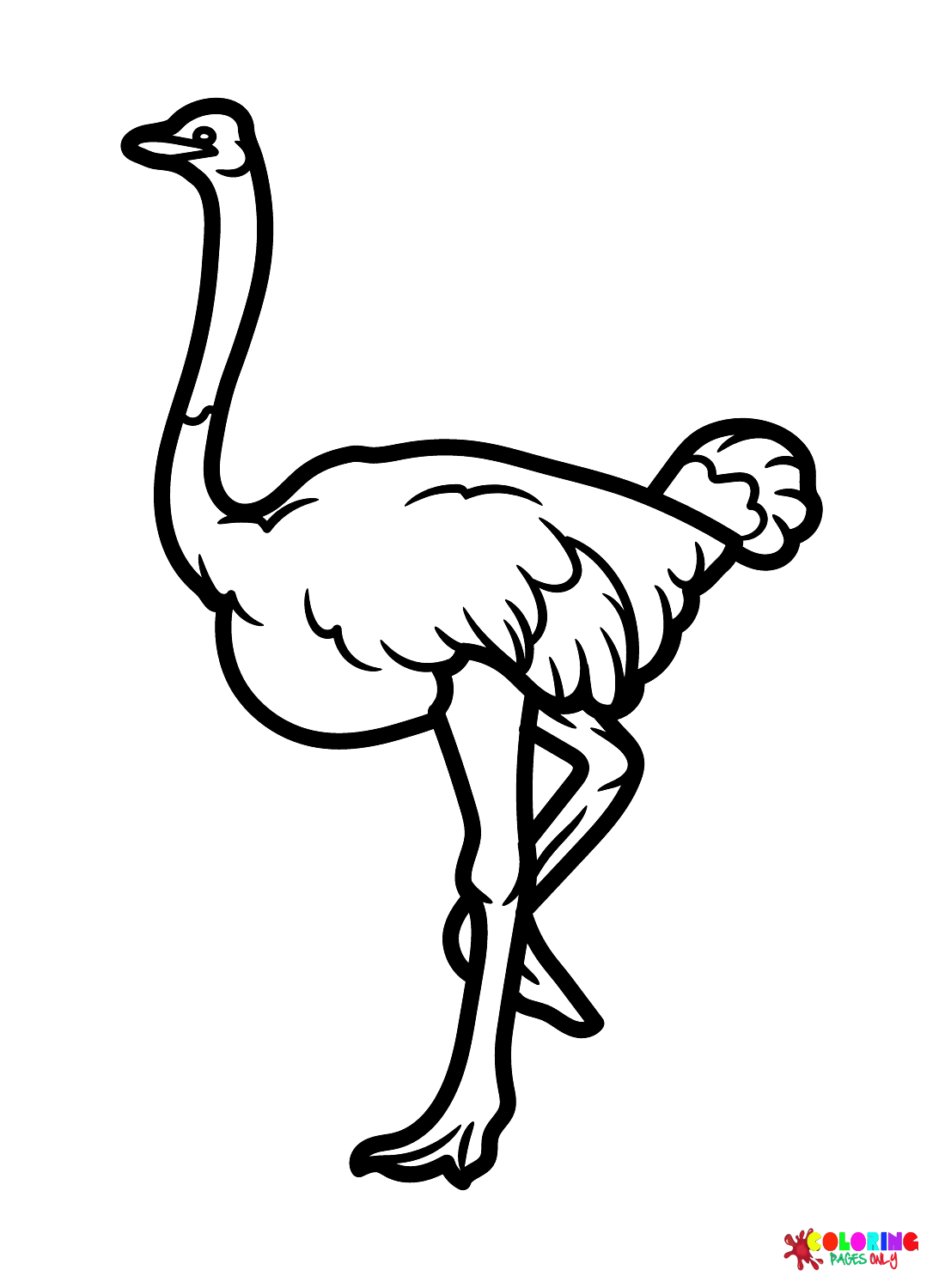 Somali Ostrich Coloring Page Free Printable Coloring Pages