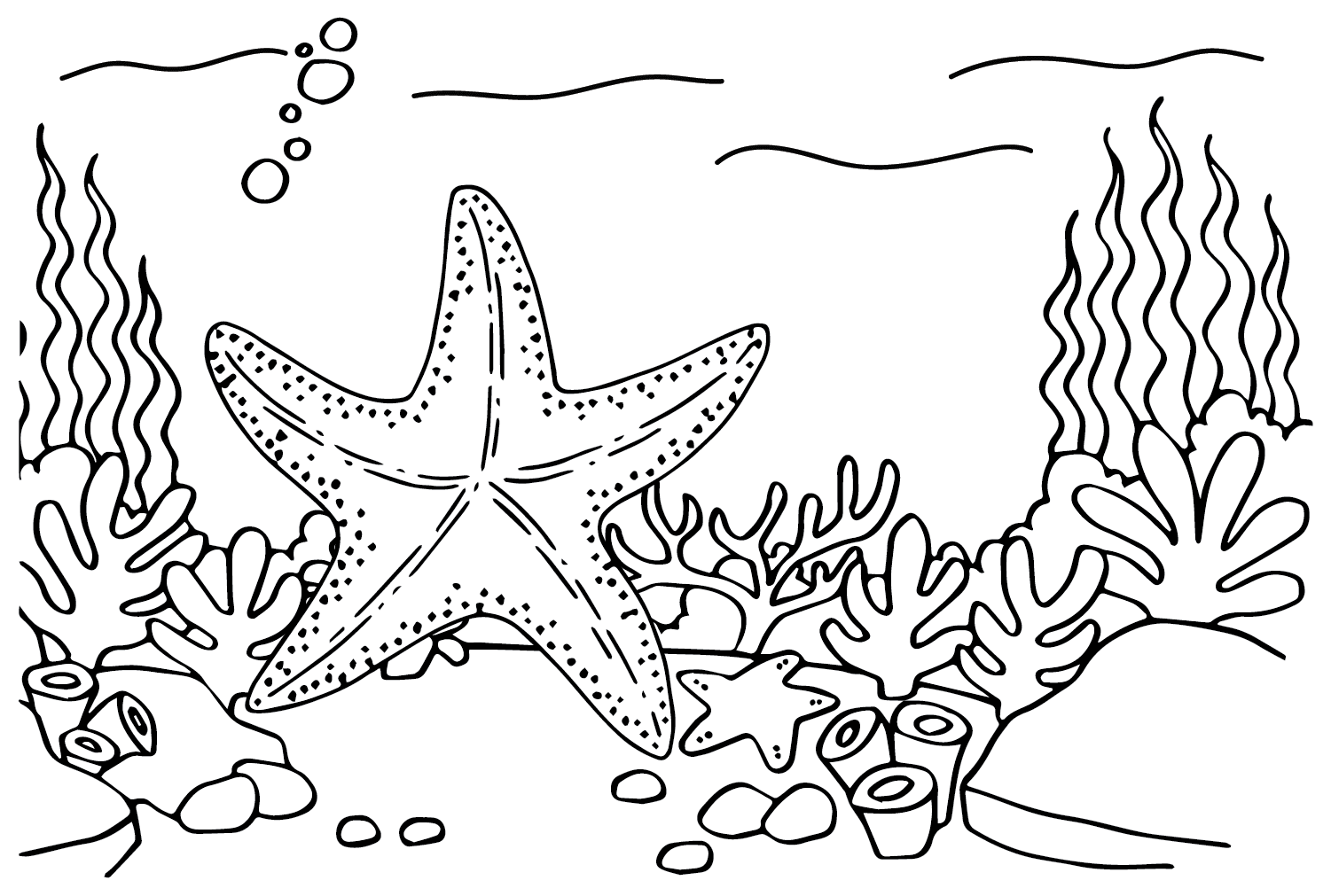 Estrella de mar libre de estrella de mar